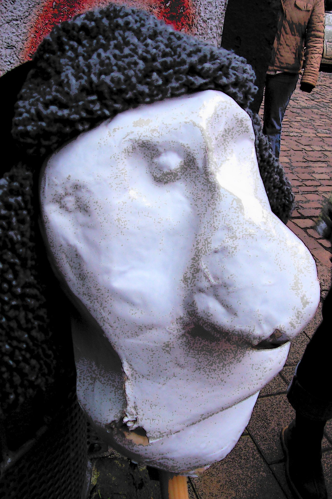 Walter after the rain