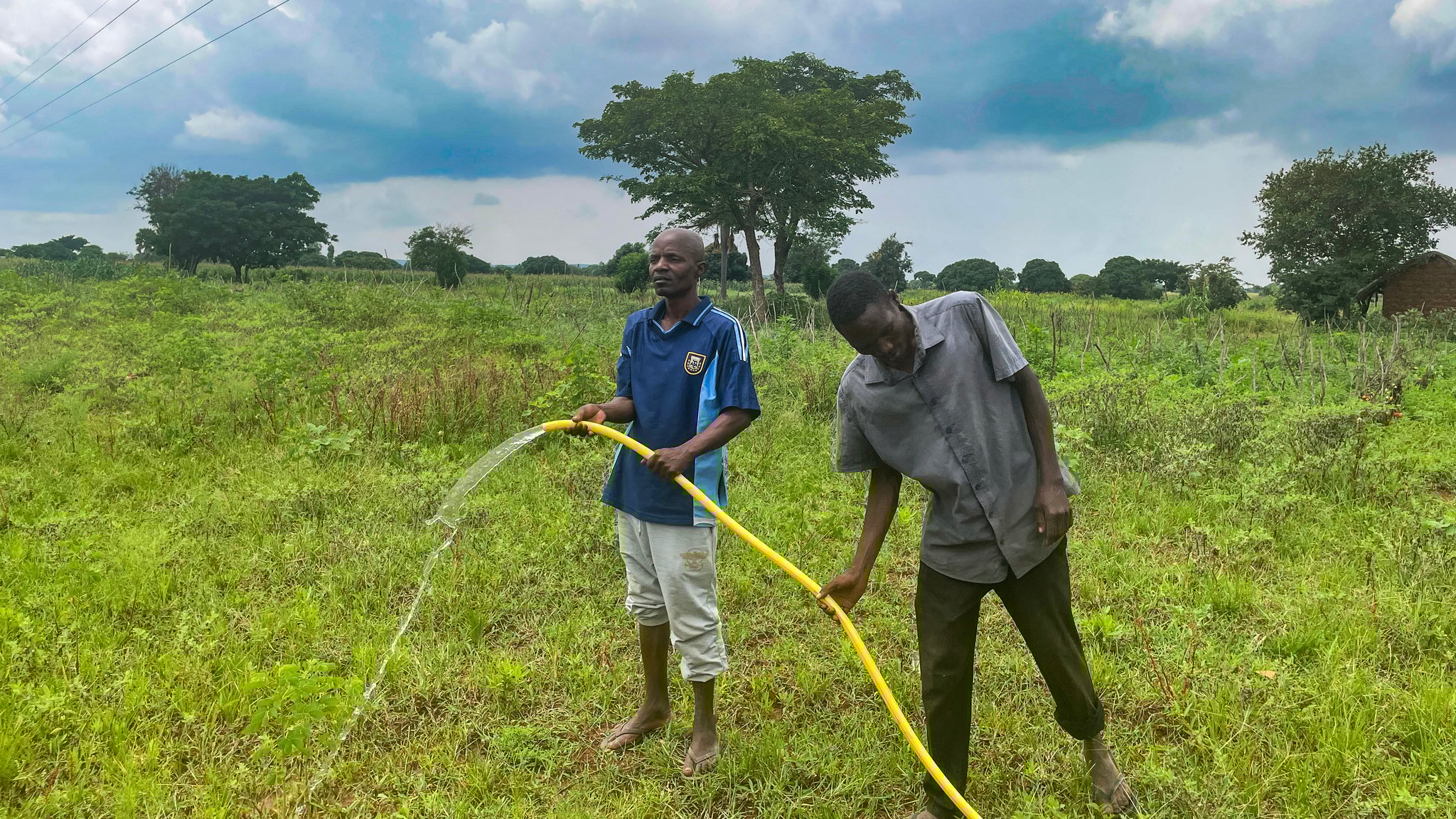 Das Wasser läuft ...