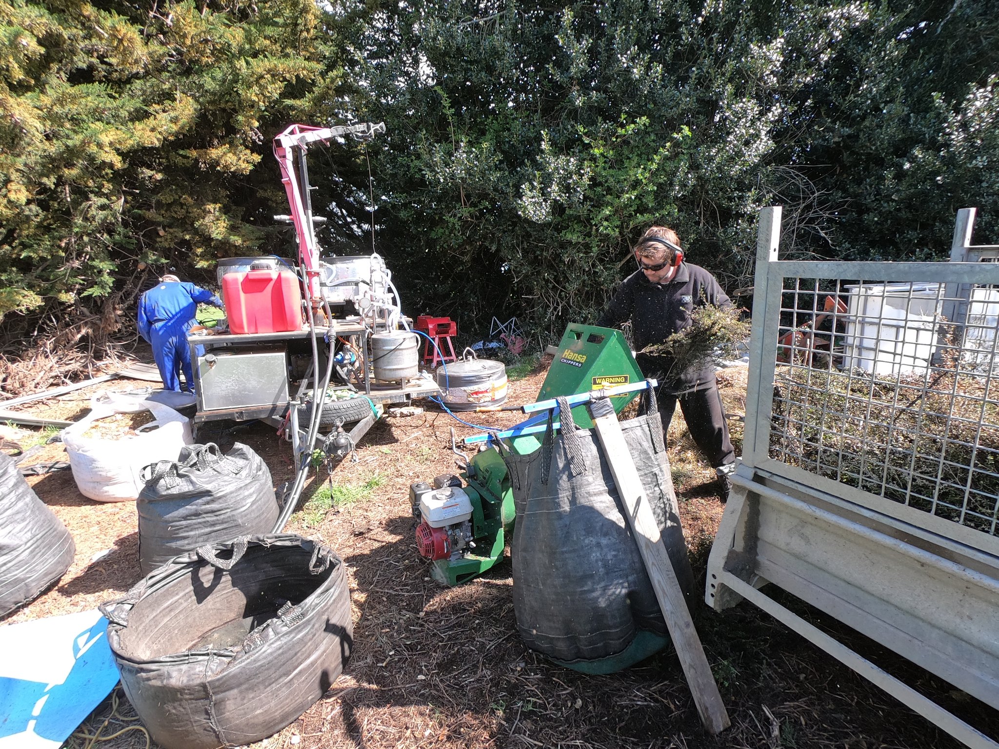 Broyage fastidieux car les branches sont fines et nombreuses