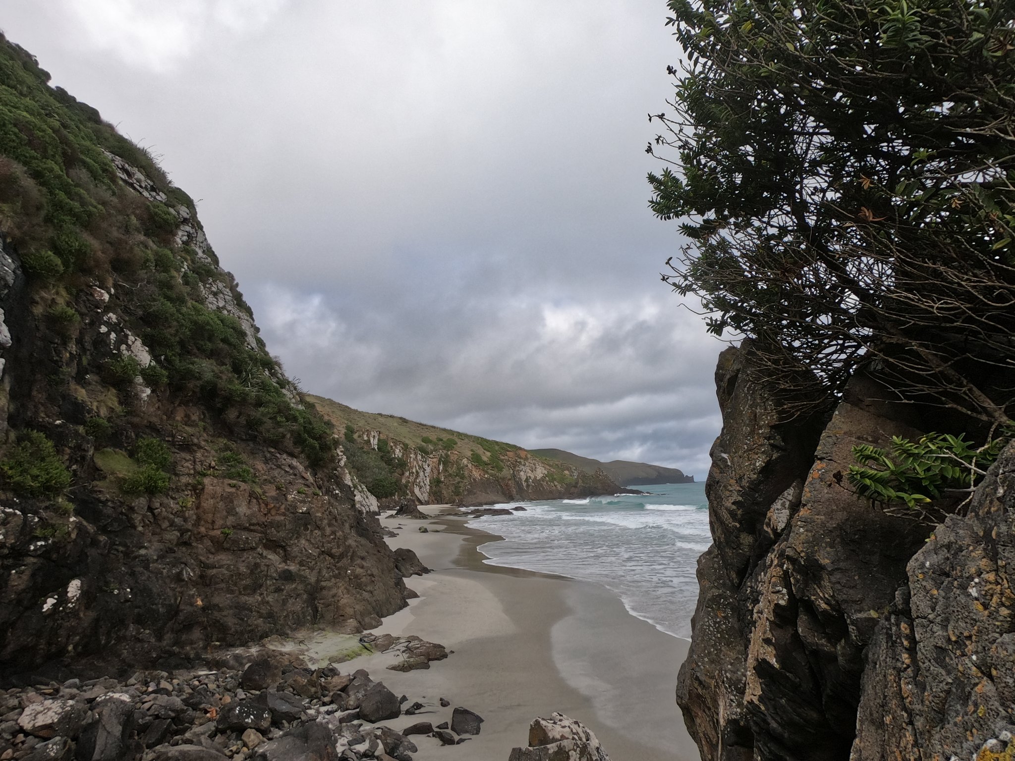 Otago Peninsula - Allans Beach