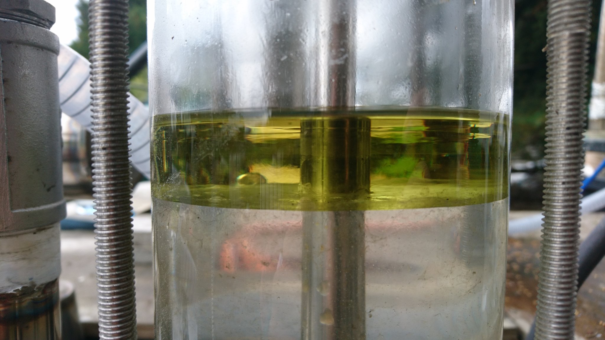 L'huile essentielle de Manuka de printemps, verte grâce à la chlorophylle 