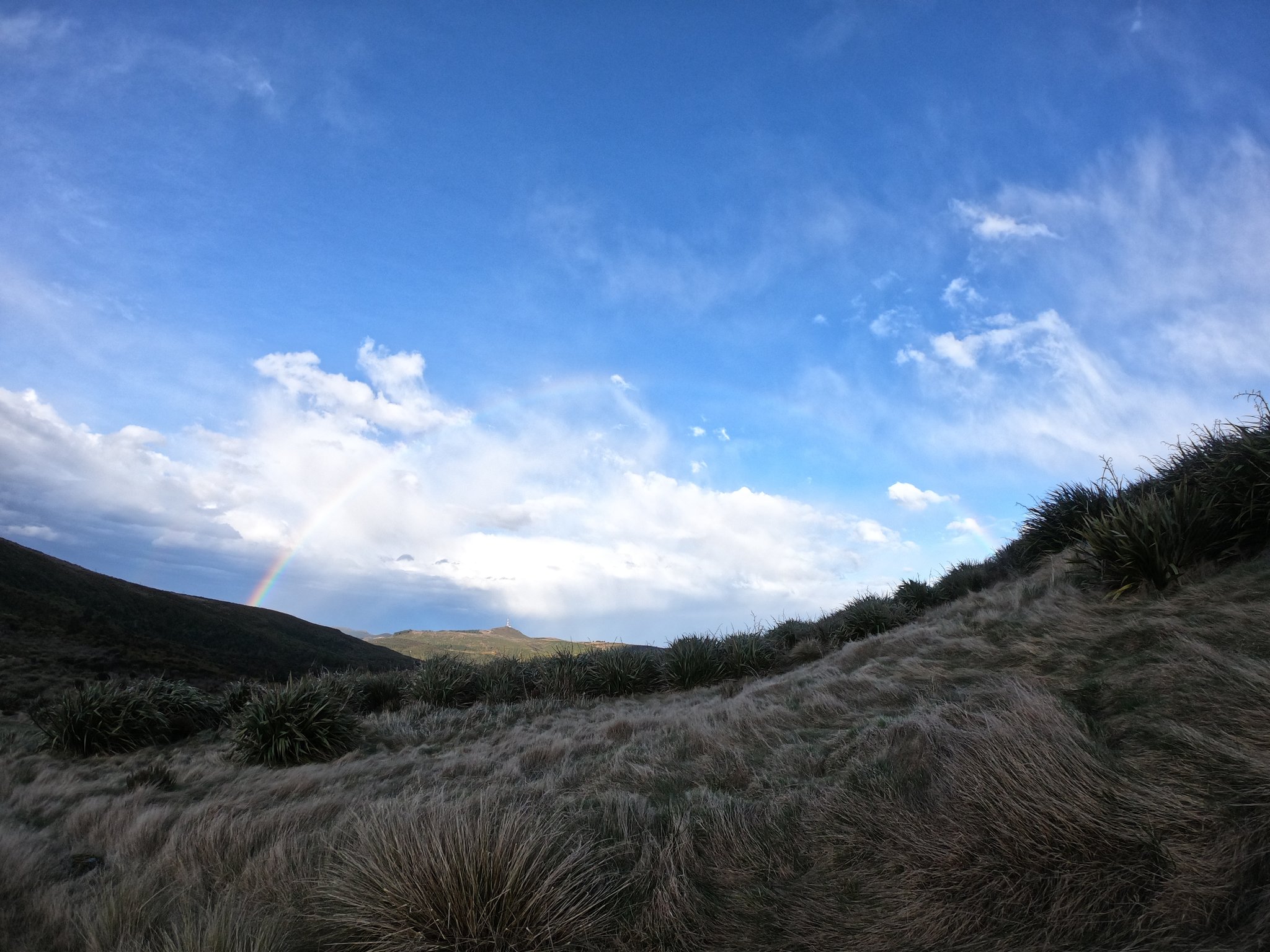 Rainbow Swampy Summit