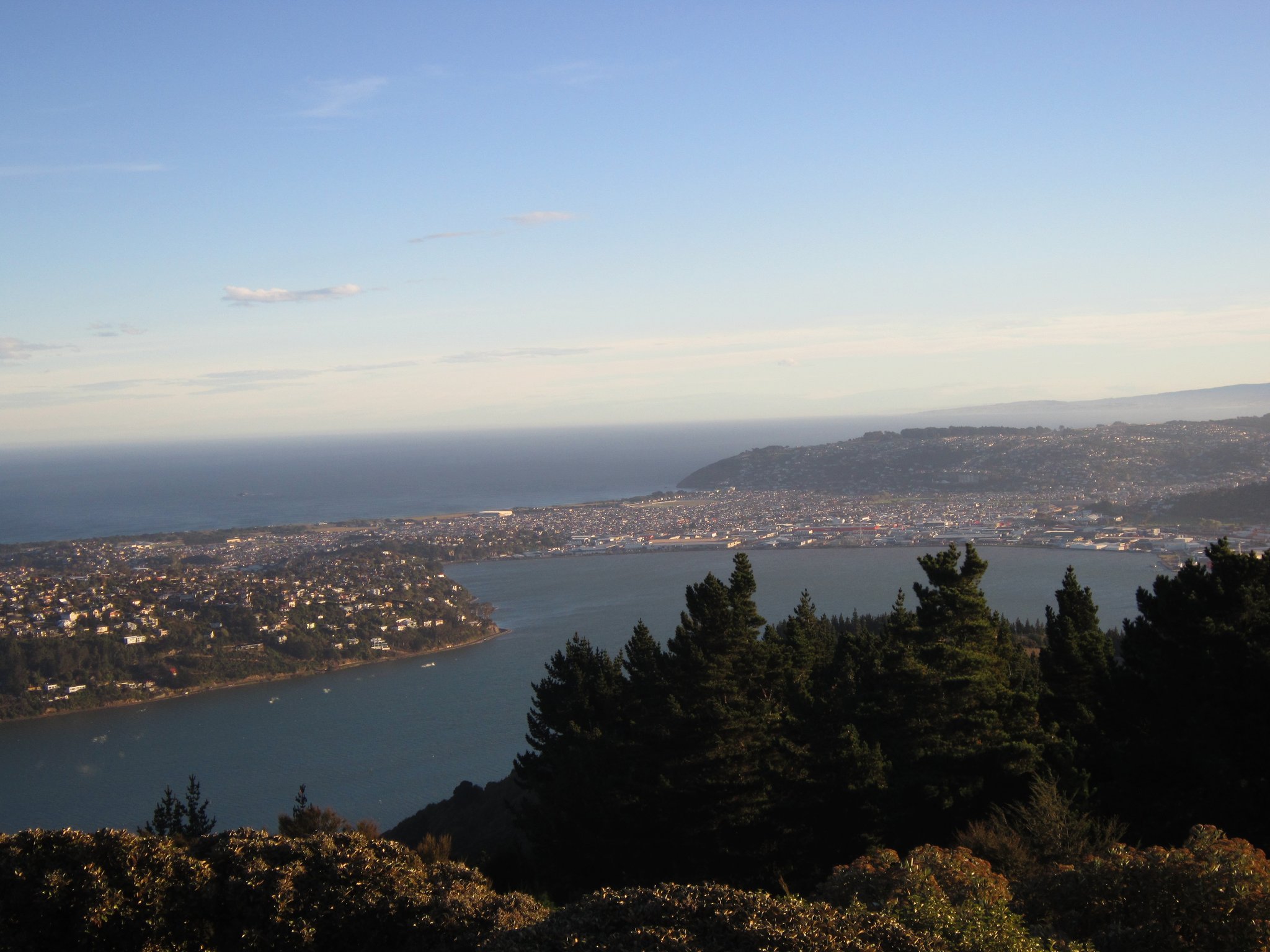 Dunedin vu depuis Signal Hill
