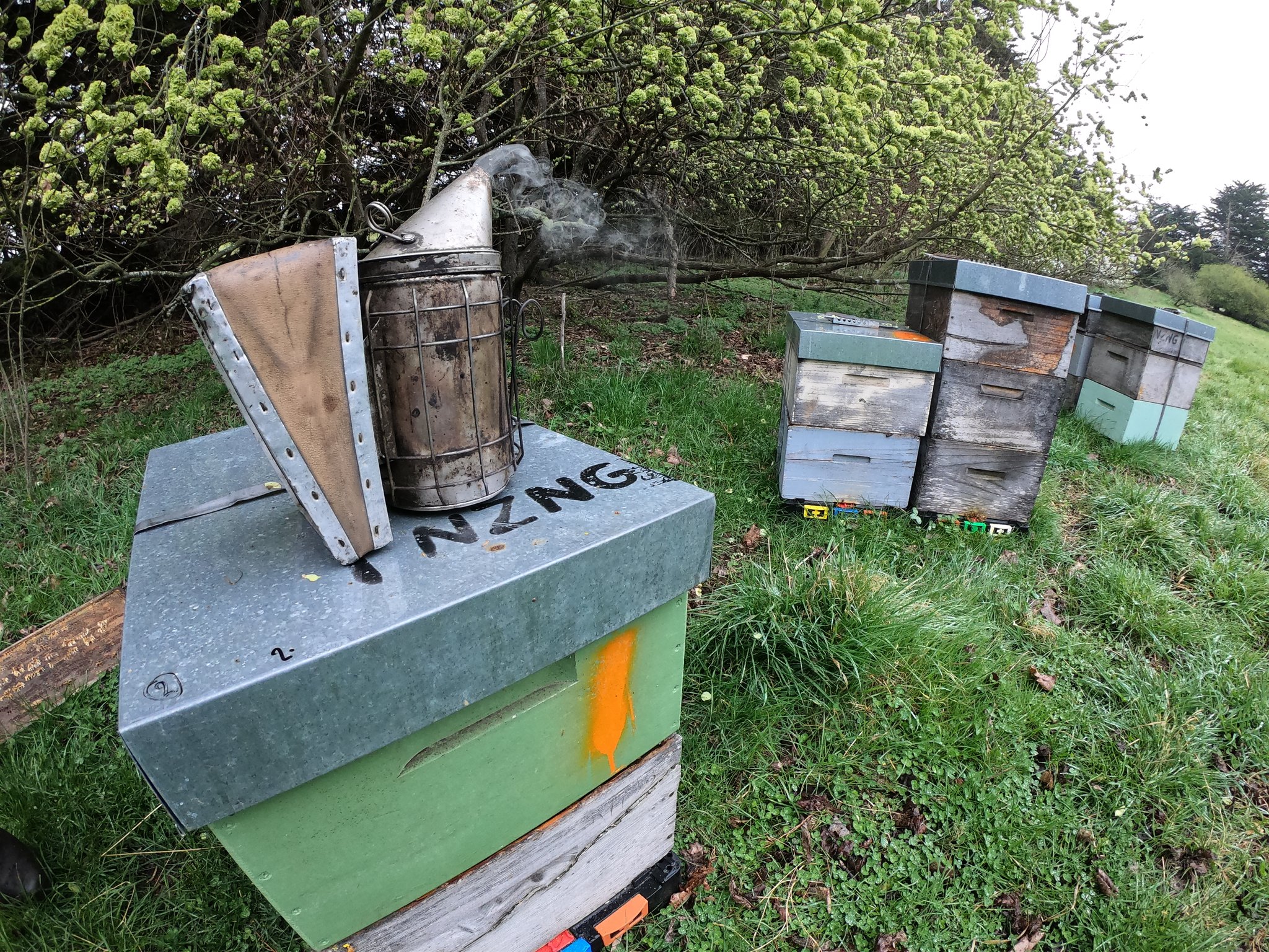 Nos ruches @ Palmerston avec Blair Dale