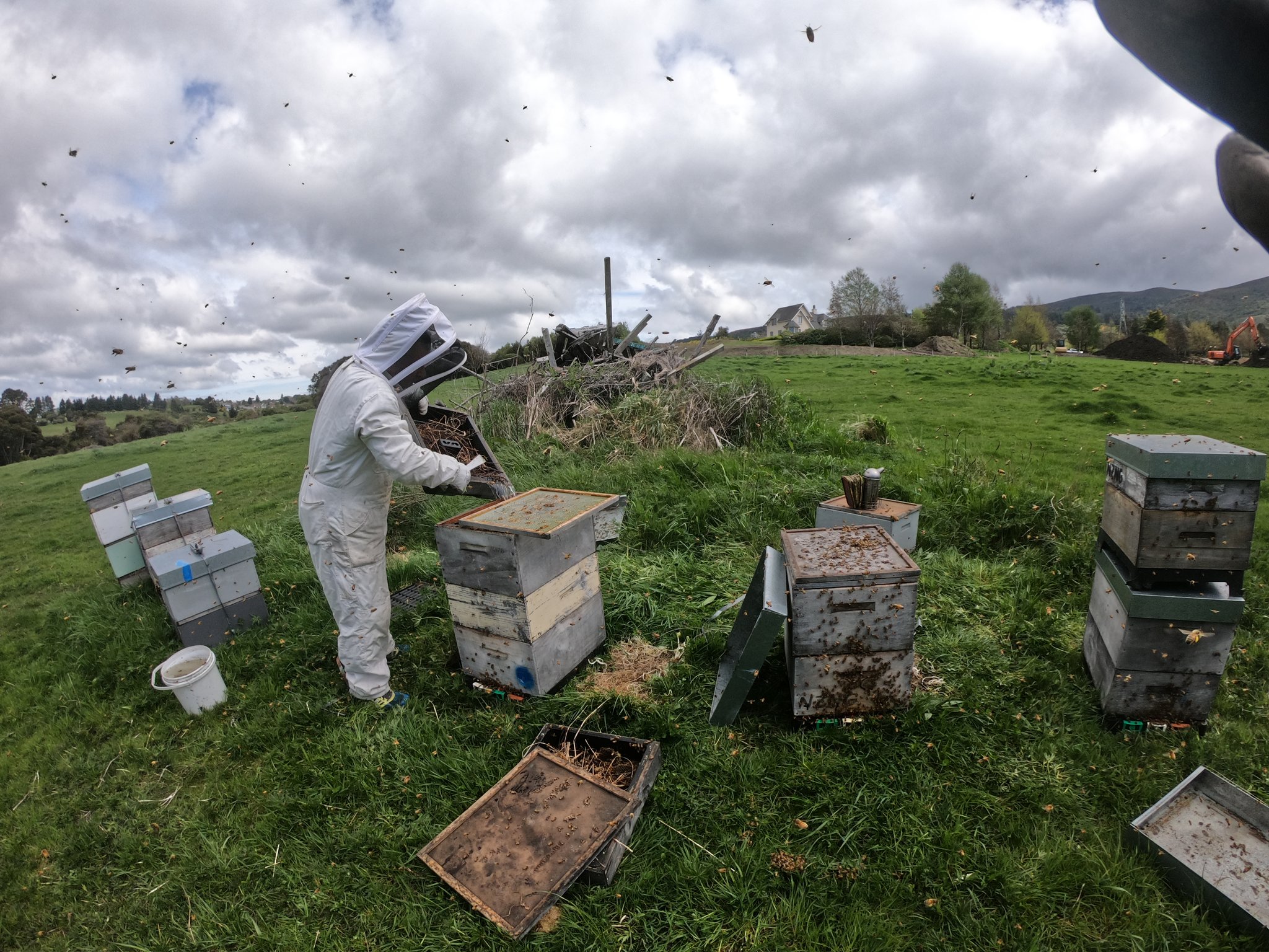 Apiculture avec David Milne de Blueskin Bay Honey @ Ross Creek