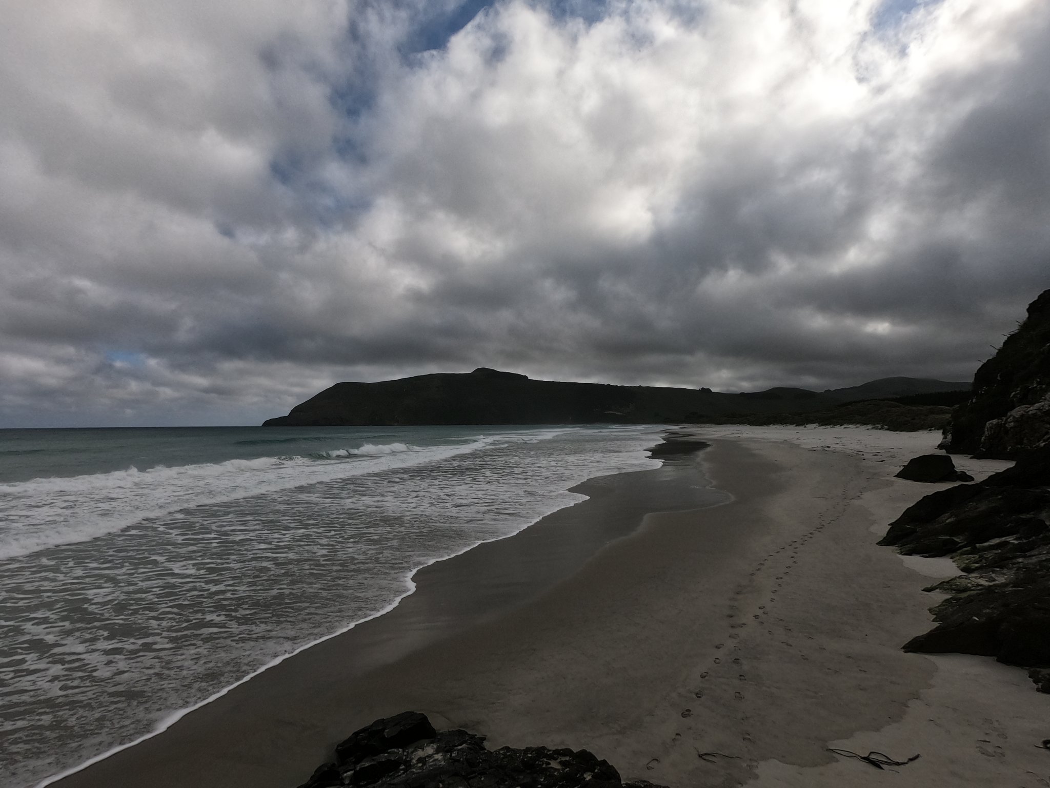 Otago Peninsula - Allans Beach
