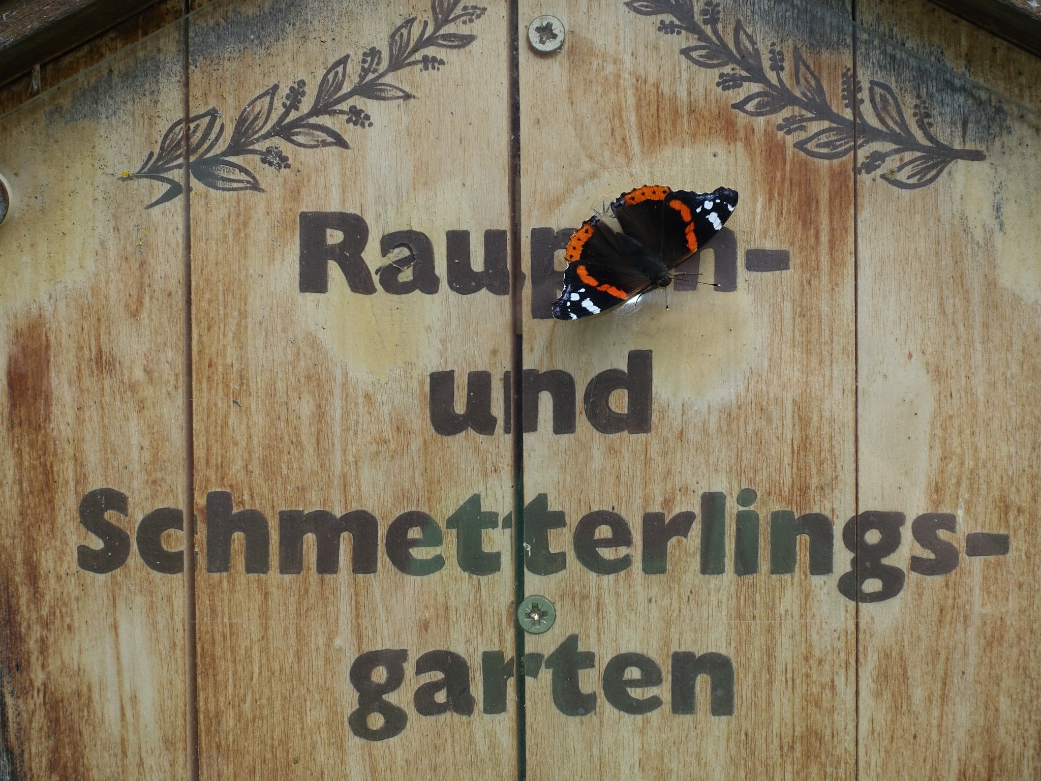 Schmetterlingsgarten