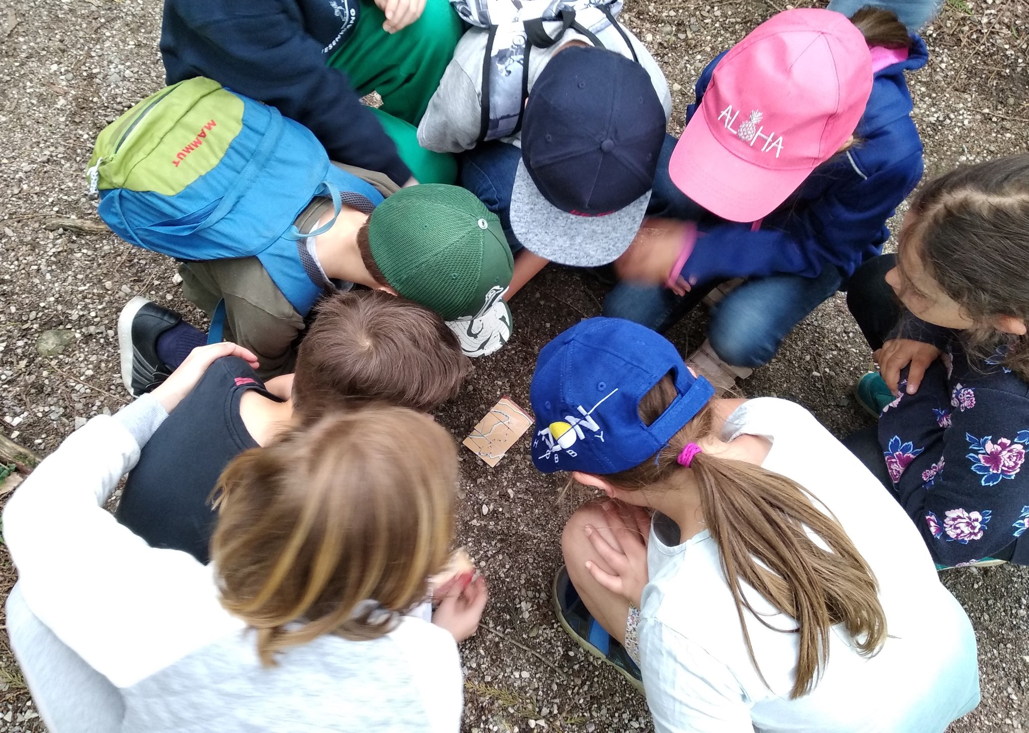 Umweltbildung Kinder © Katharina Platzdasch