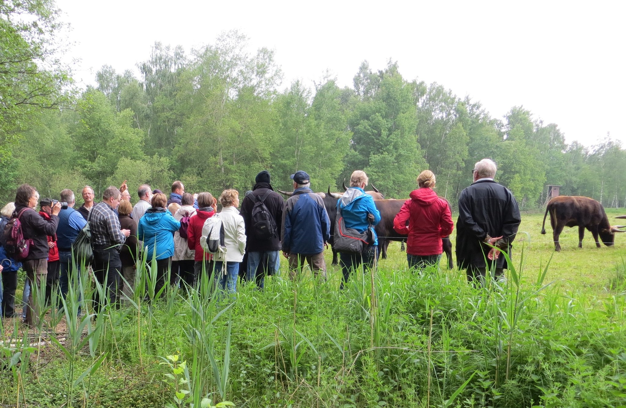 Führung Fußbergmoos © Richard Schoonhoven