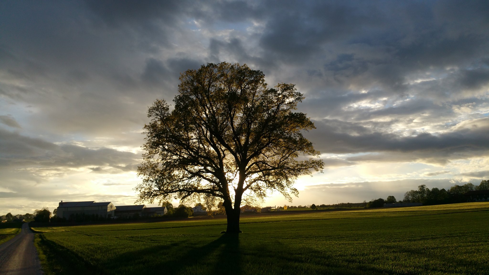 © Reinhold, Moorenweis – Herbst