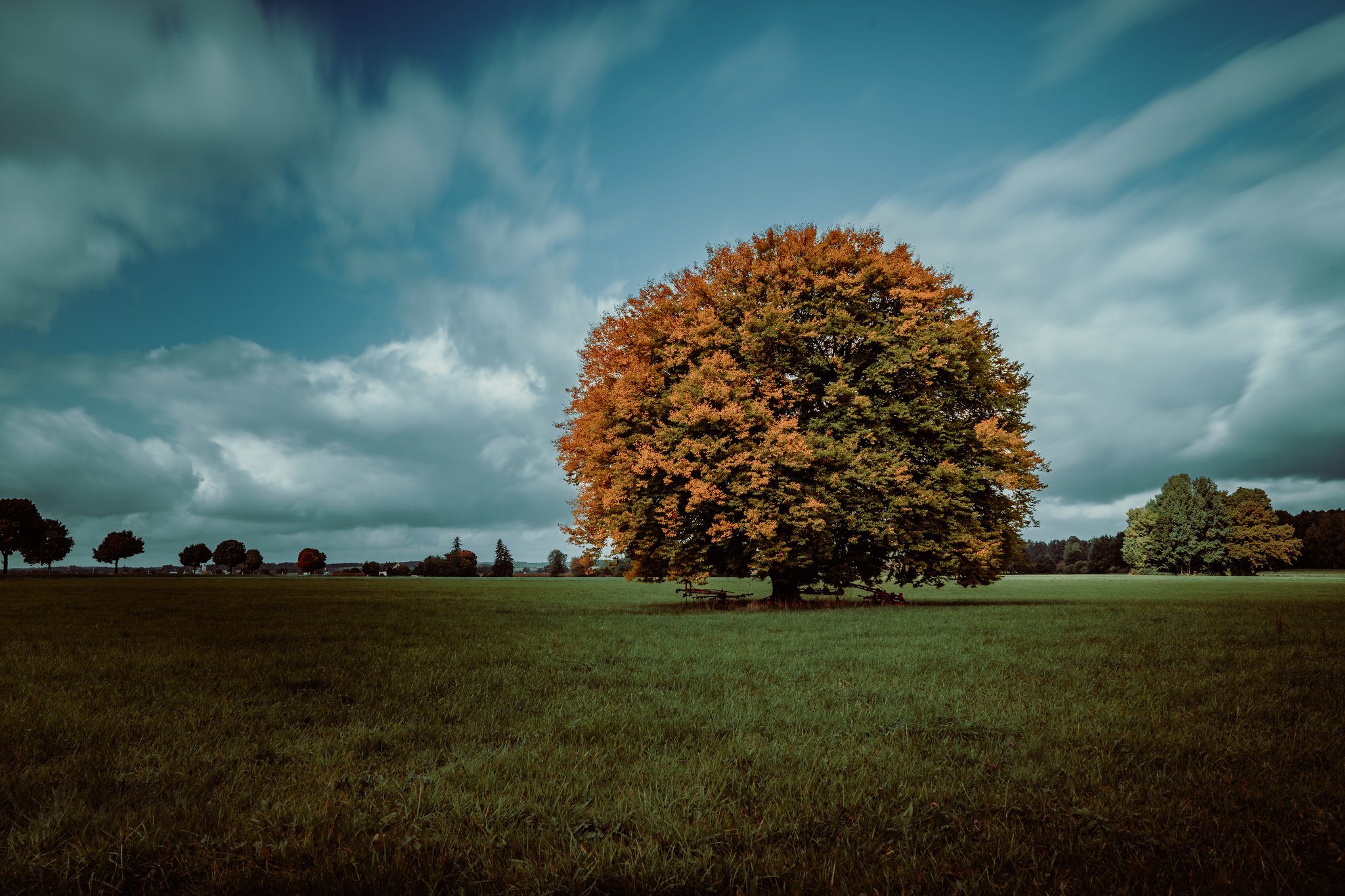 © Tizian Blaschke-Waldner, Fürstenfeldbruck