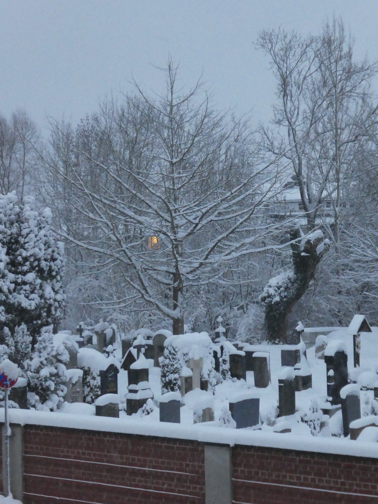 © Hedwig, Gingko, Fürstenfeldbruck – Winter