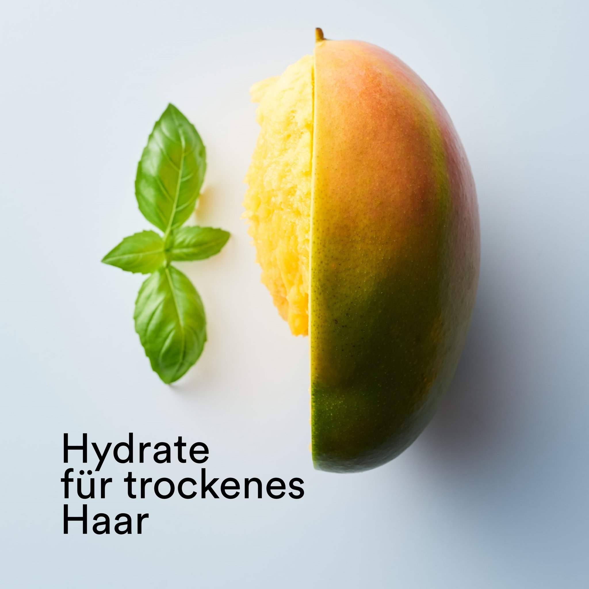 Haarpflege ohne Kompromisse: AUTHENTIC BEAUTY CONCEPT