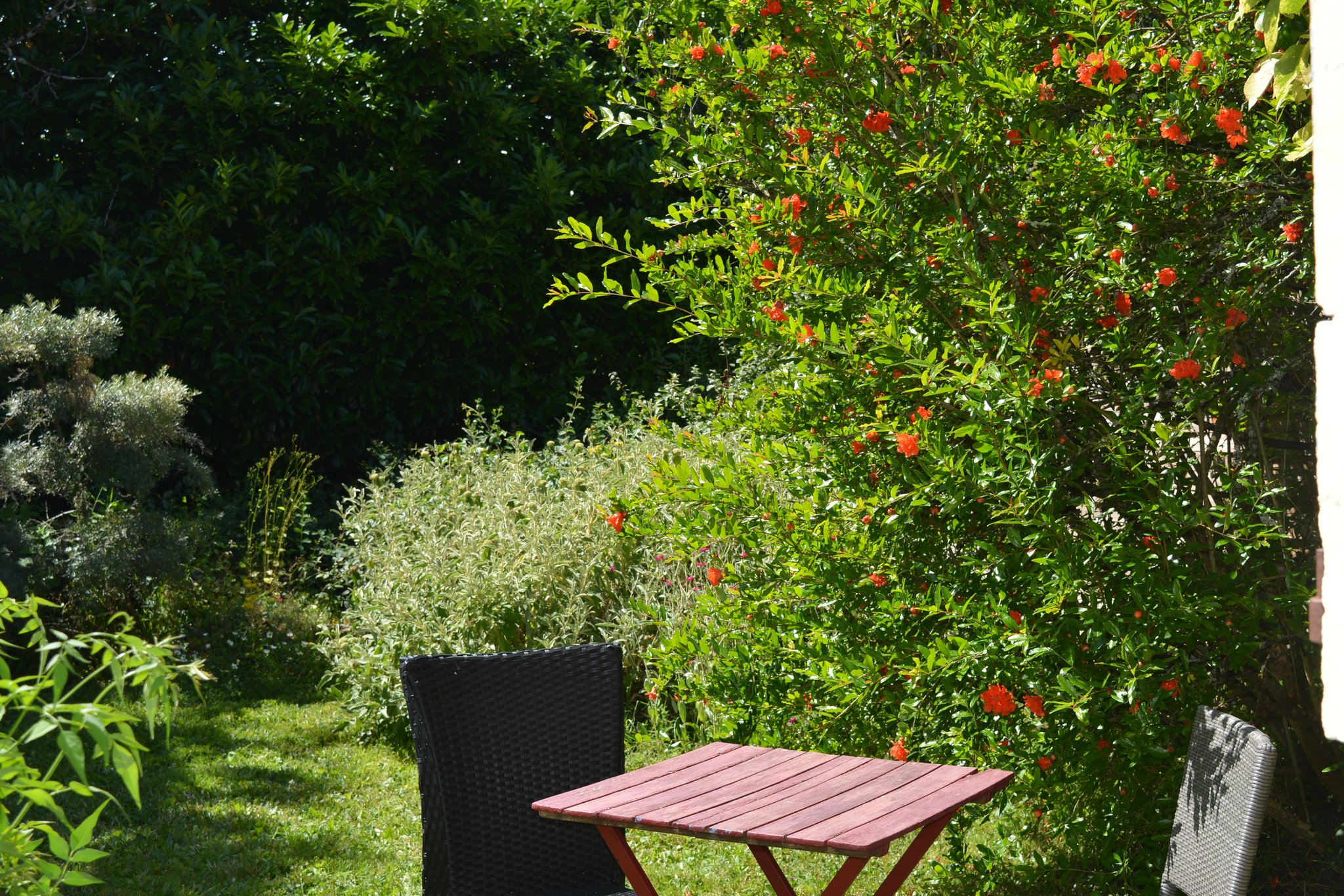Jardin privatif à la chambre