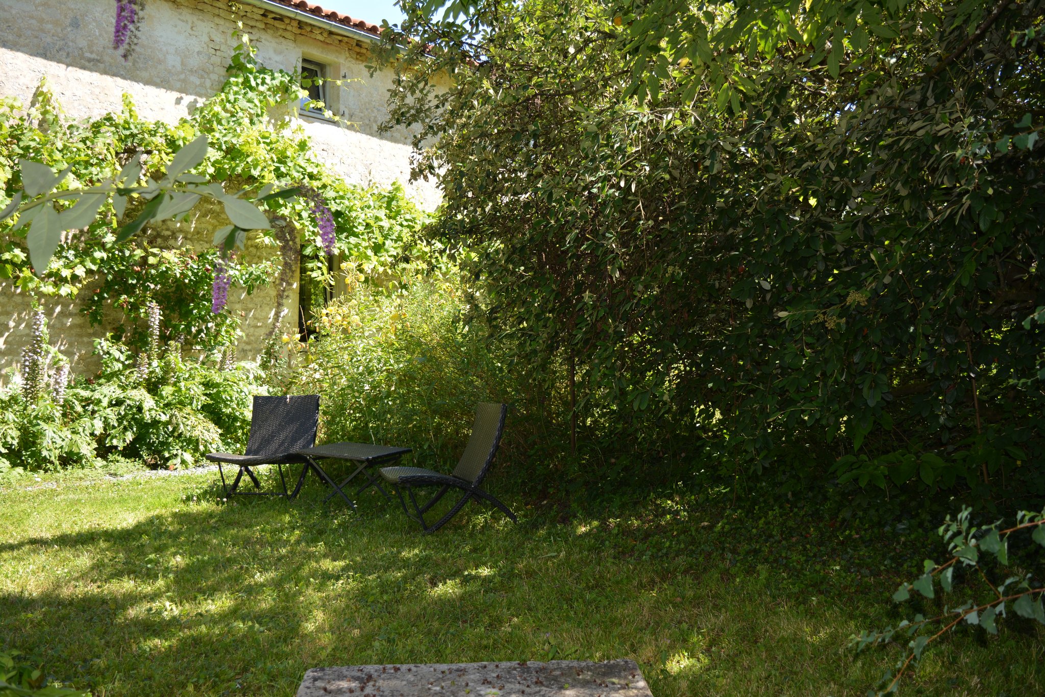 Repos à l'ombre après les balades