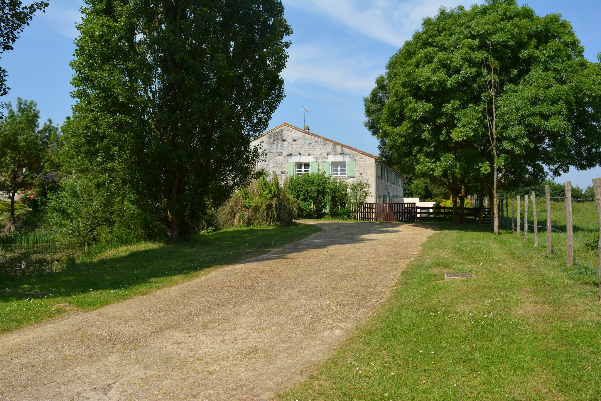 Allée privative au gîte côté grenouilles
