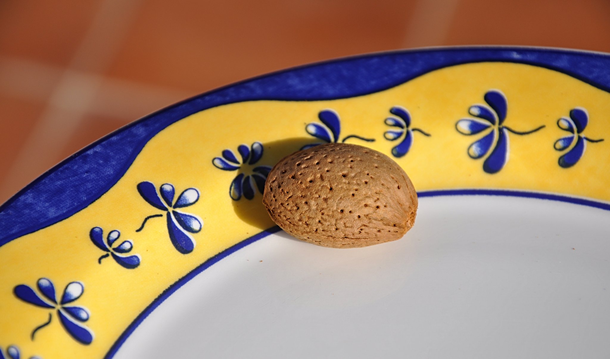 La coque de l'amande, avec ses orifices de ventilation, est un véritable chef d'oeuvre de Dame Nature.