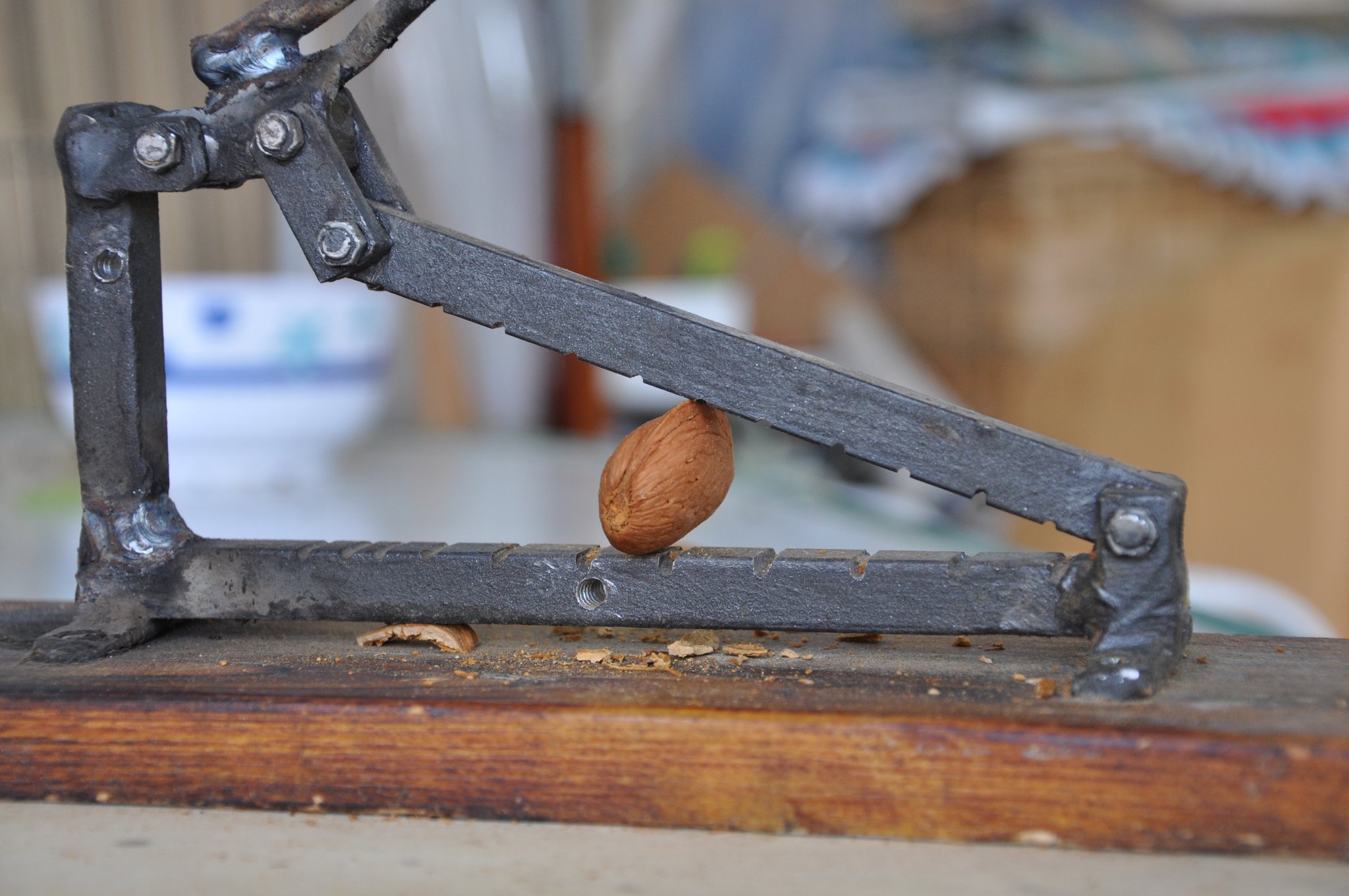 4º Bis - Unique sur le marché : ouverture des amandes juste avant chaque commande, pour une fraîcheur incomparable. 