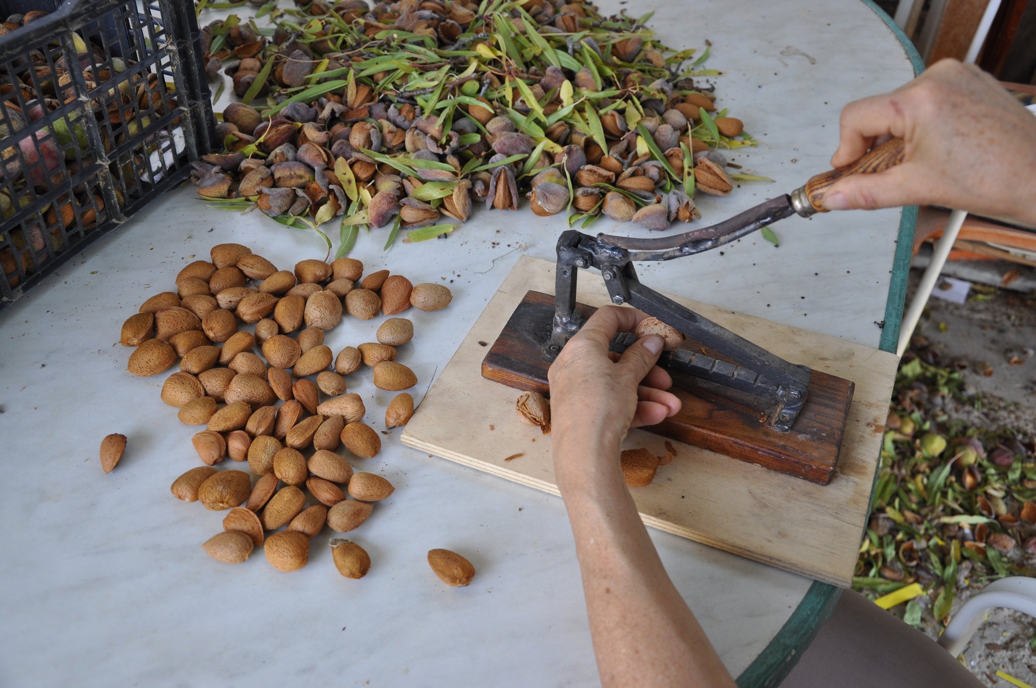 4º - Exclusivité sur le marché : concassage manuel de chaque amande.