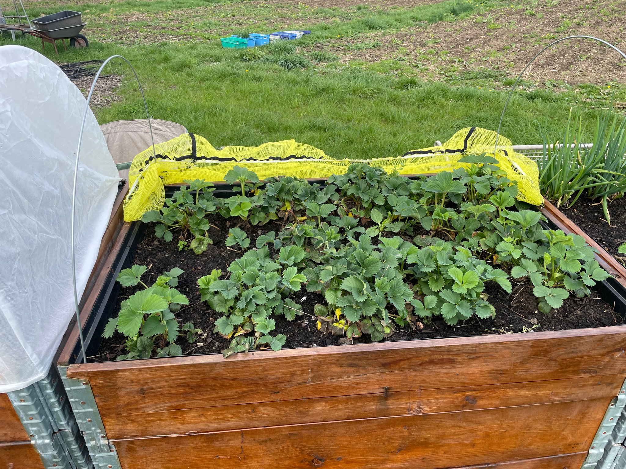Einfache Handhabung durch Fixierung in der Mitte