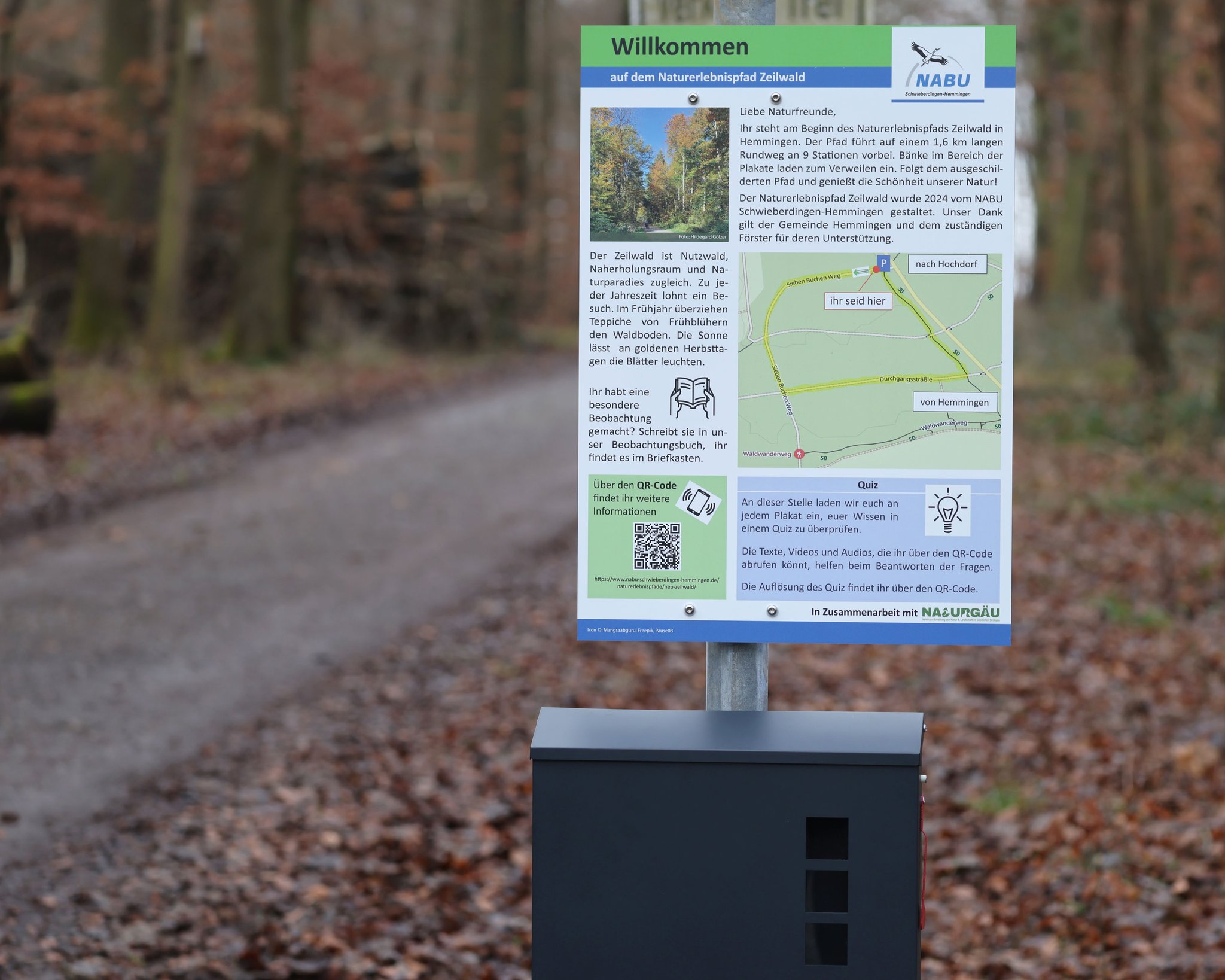 16.1.25 Der Briefkasten