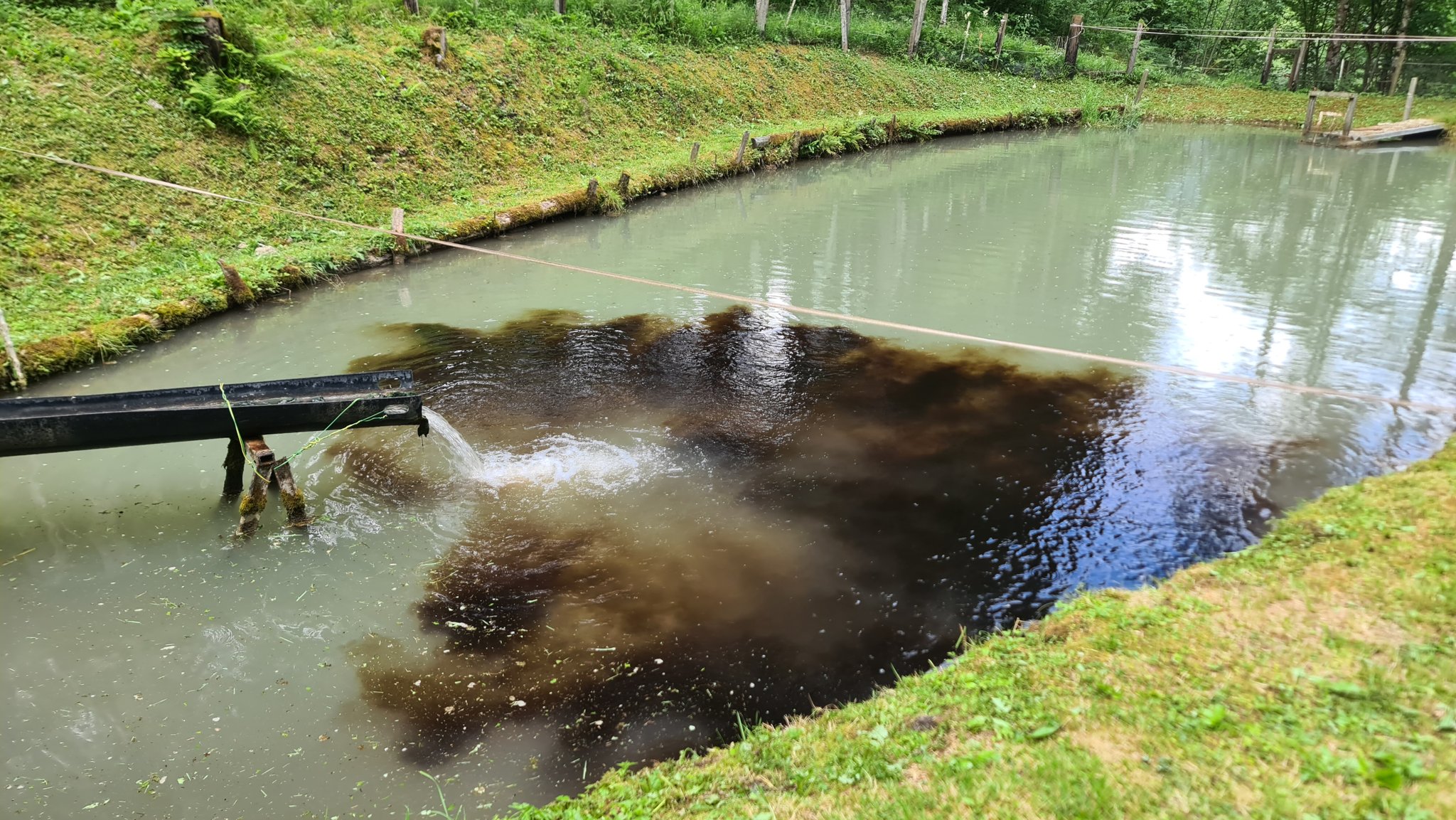 Es wurden 500ml KE-humin über den Zulauf eingebracht.