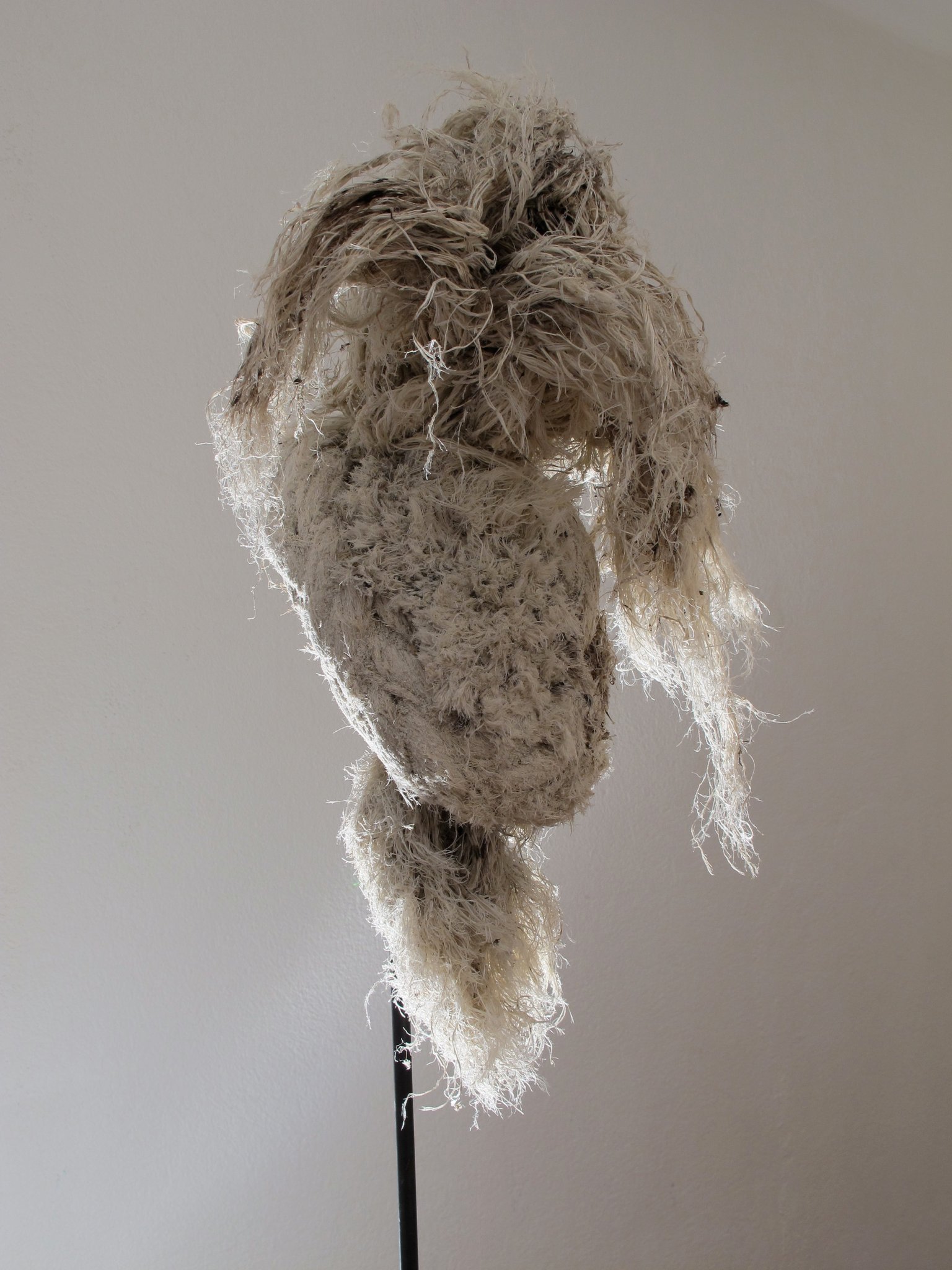 Europa (Griechischer Kopf), Kraftobjekte Wolfgang Wallner Hall in Tirol