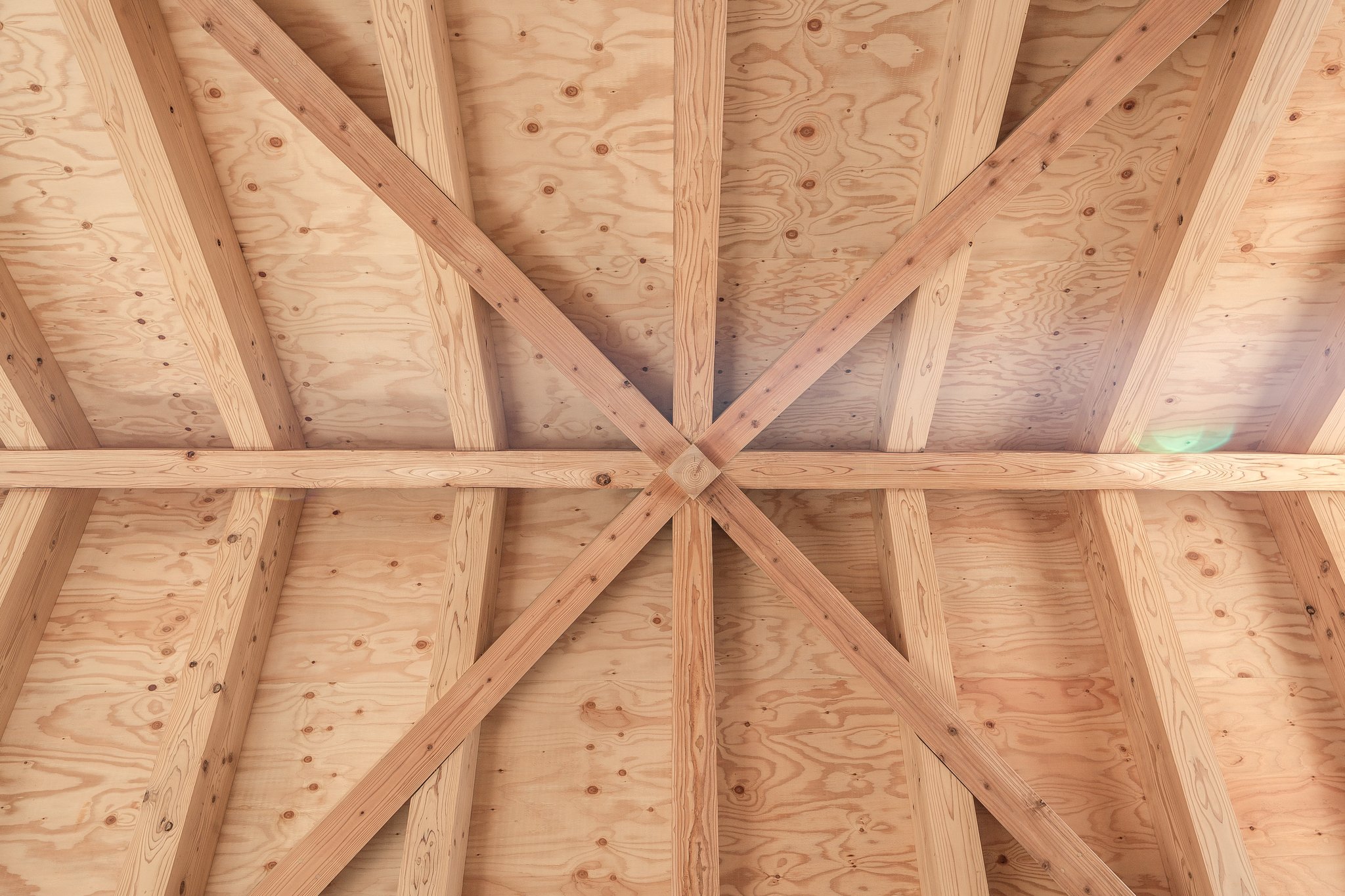 Photo：坂口写真事務所 坂口正臣