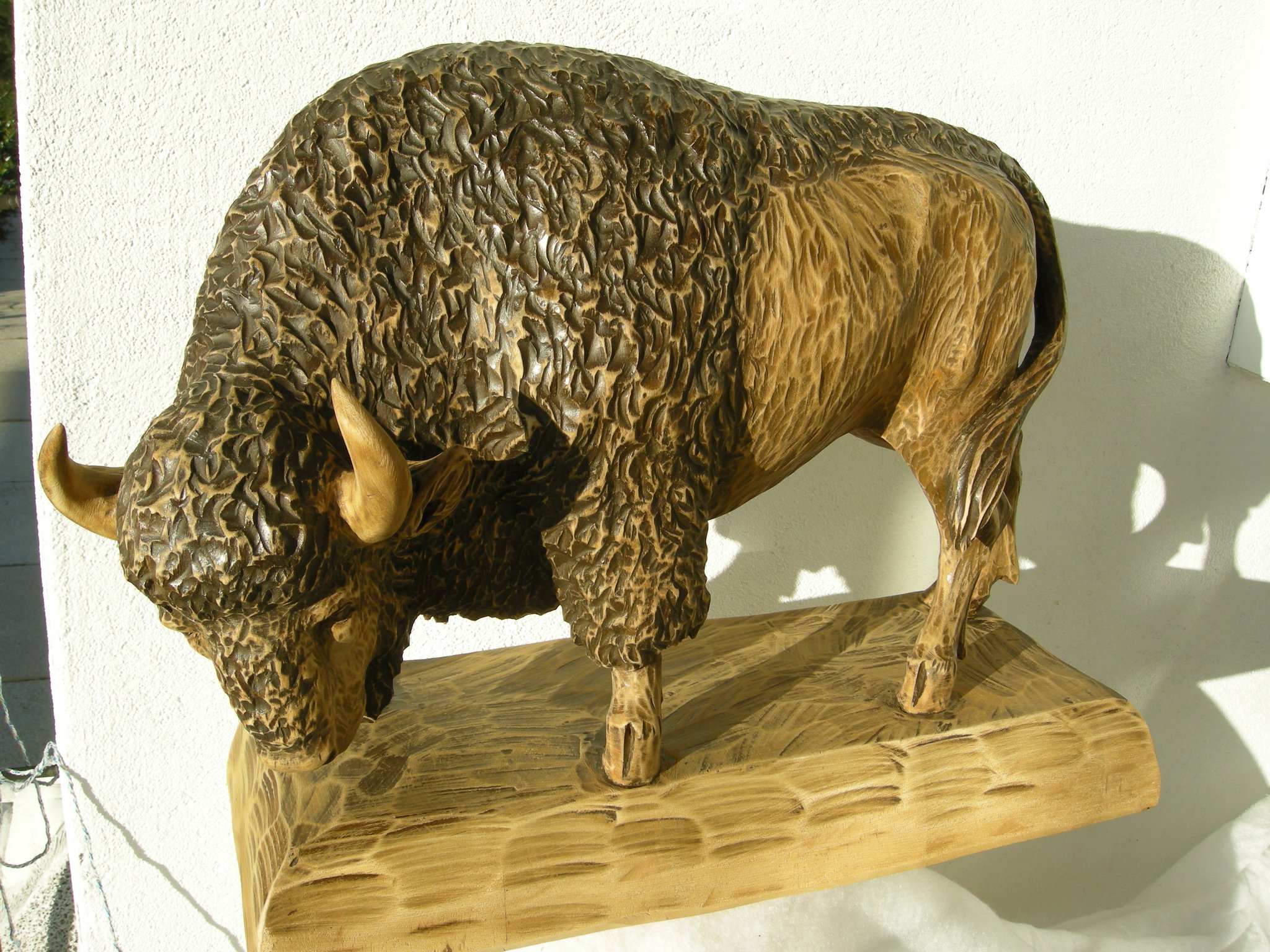 Bison