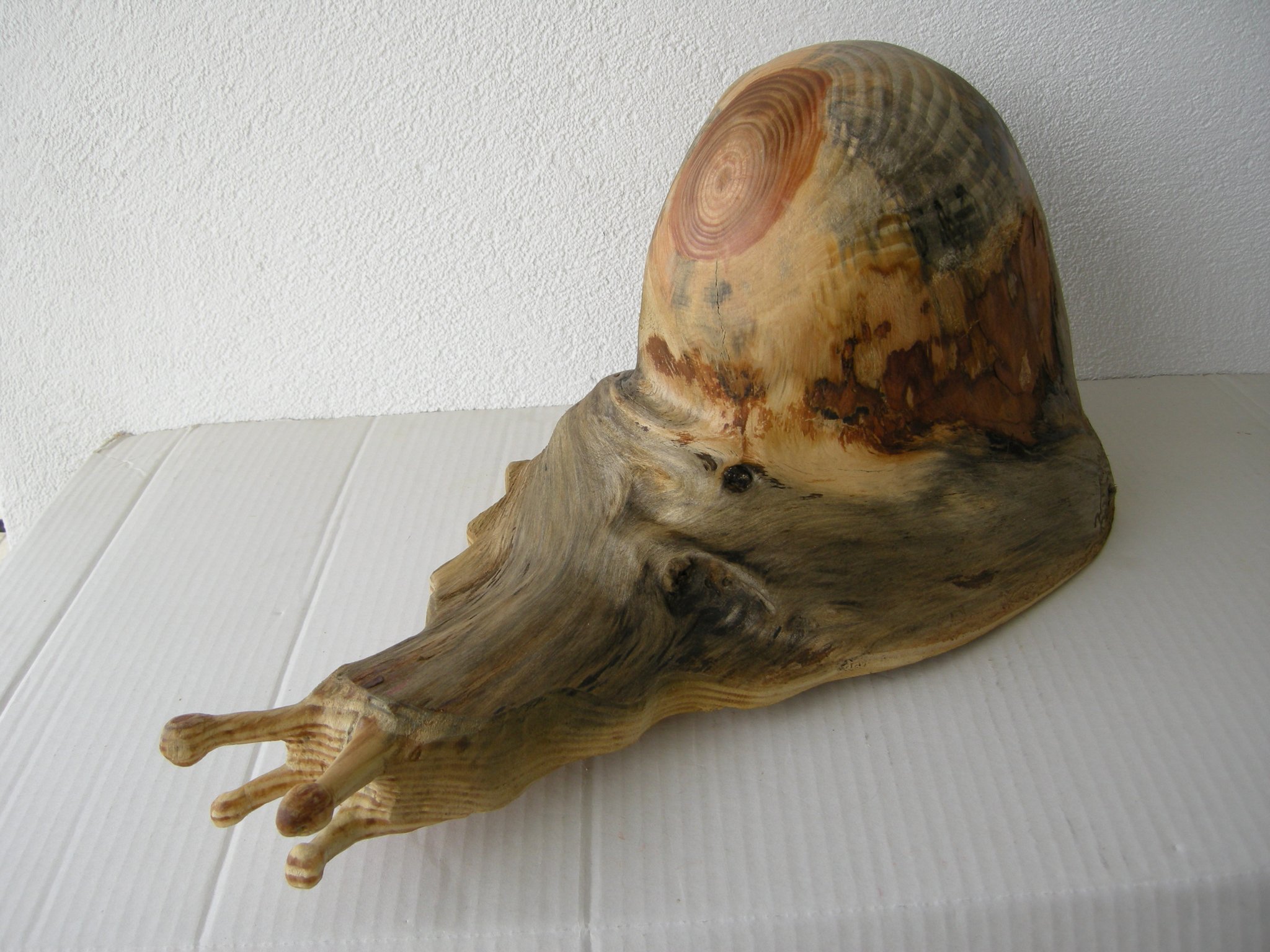 Schnecke aus Lärchenholz geschnitzt