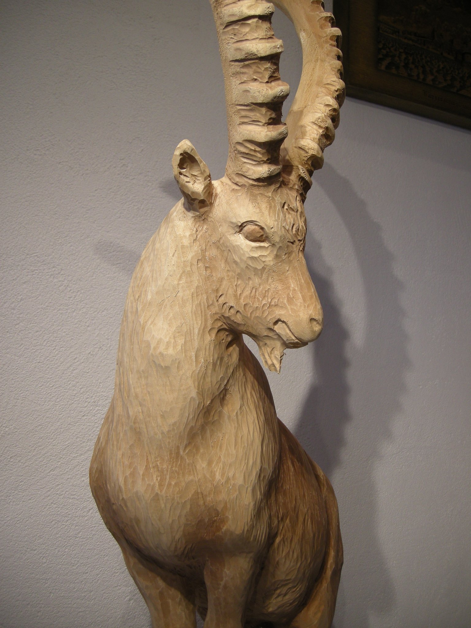 Steinbock Paul Widmer