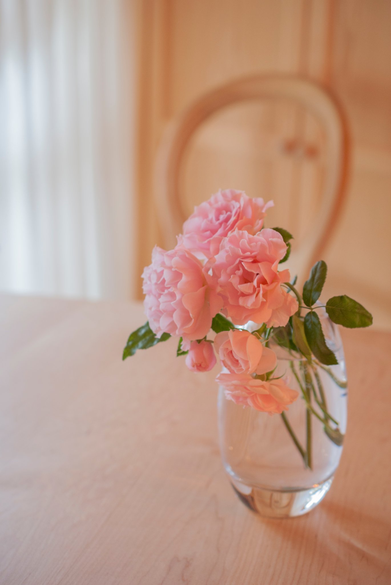 Fleur*Fleur*, 201808