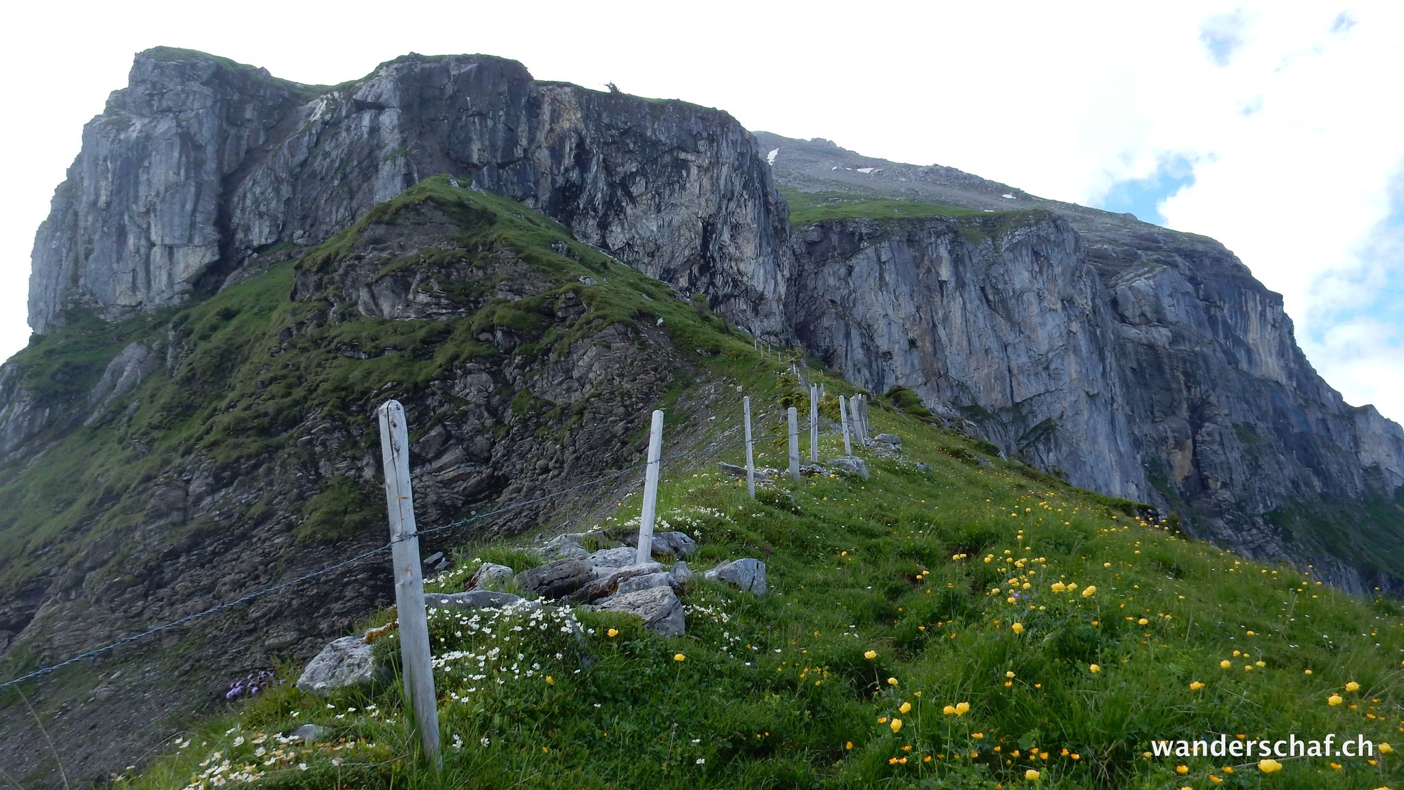 Aufsteig vom Storeggpass Richtung Widderfeldstock
