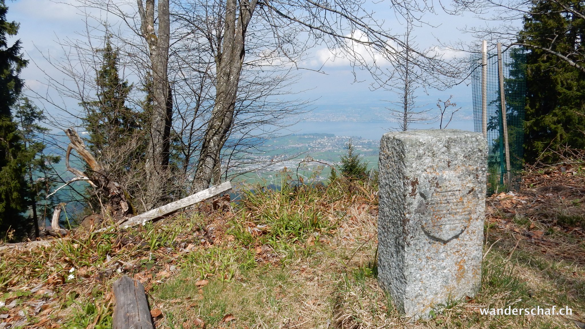 Aussicht auf den Zürichsee