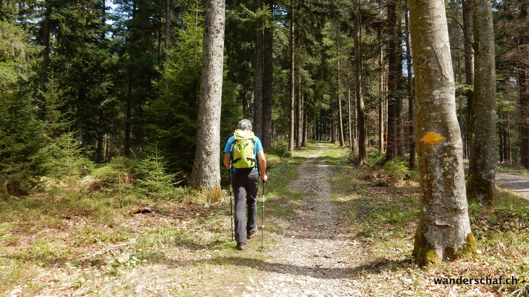 im Aufstieg von Raten über Langenegg Richtung Höhronen
