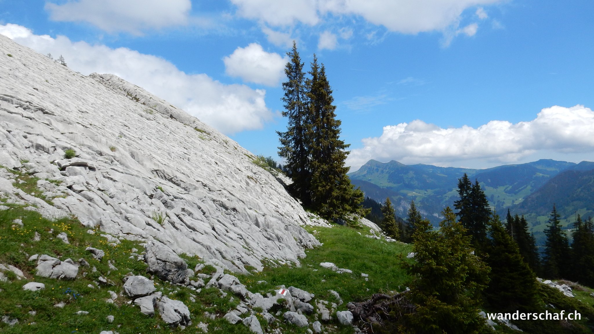 wir geniessen nach den Pyrenäen unseren Hausberg....die Schratteflue