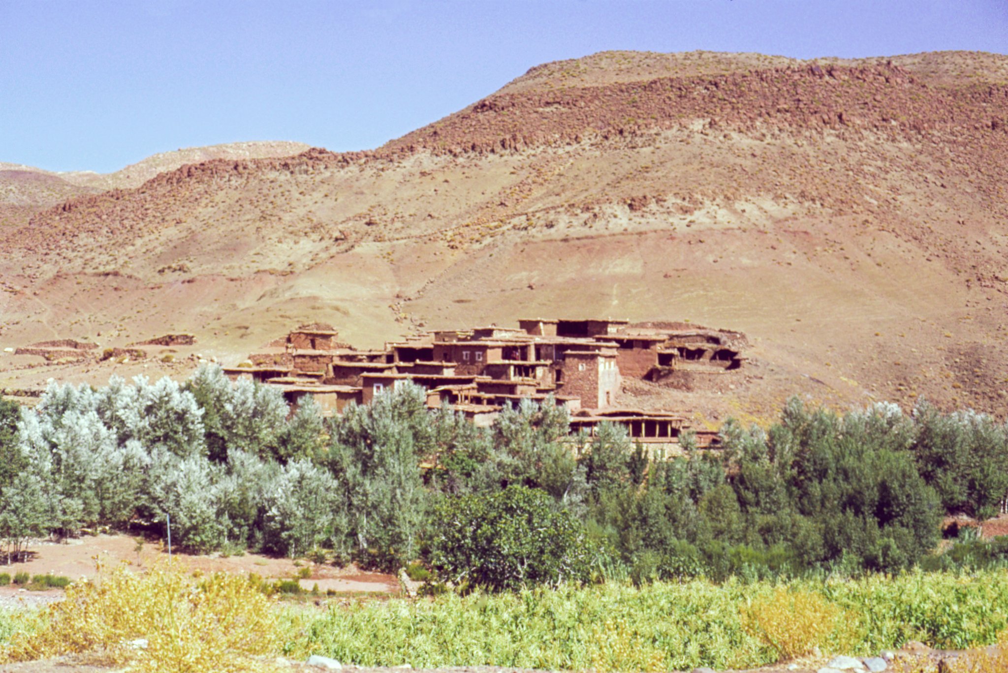 Dorf an einer Flussoase