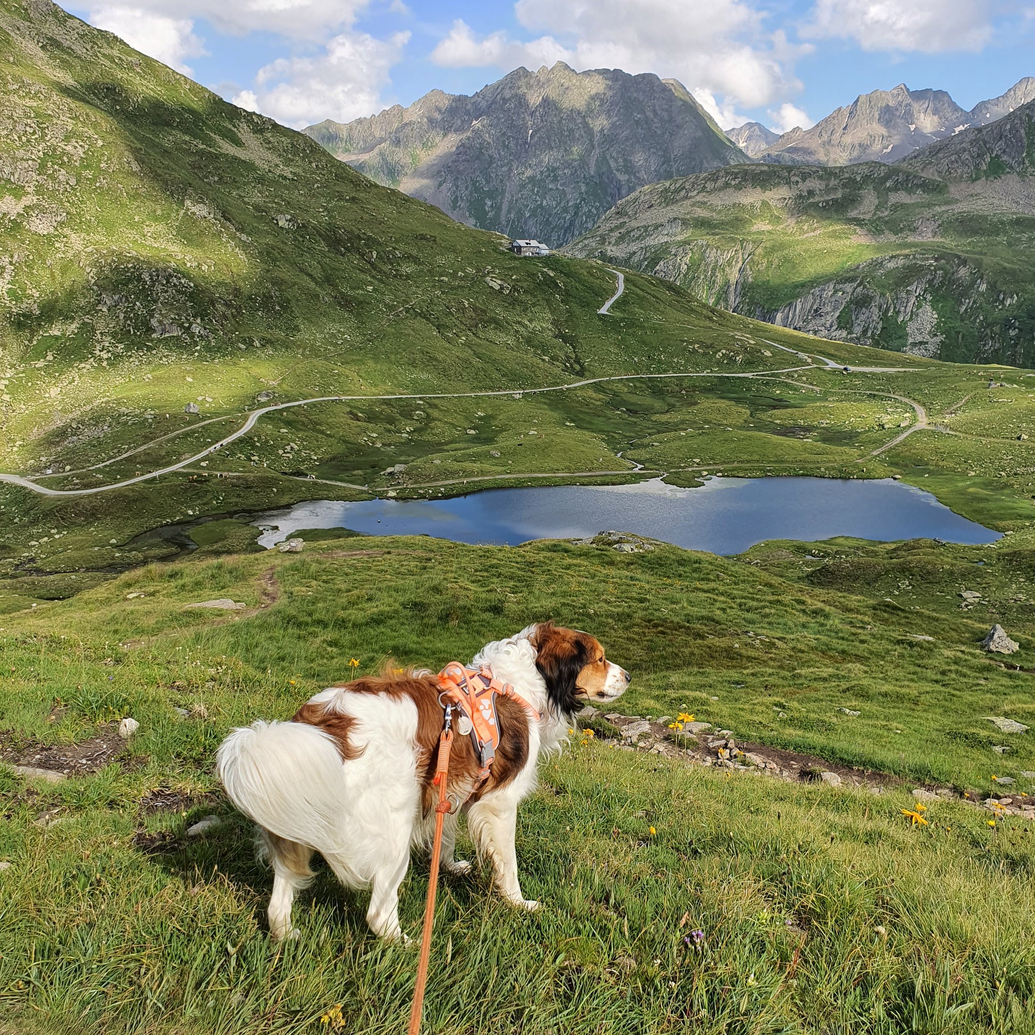 Blick zur Maigelshütte