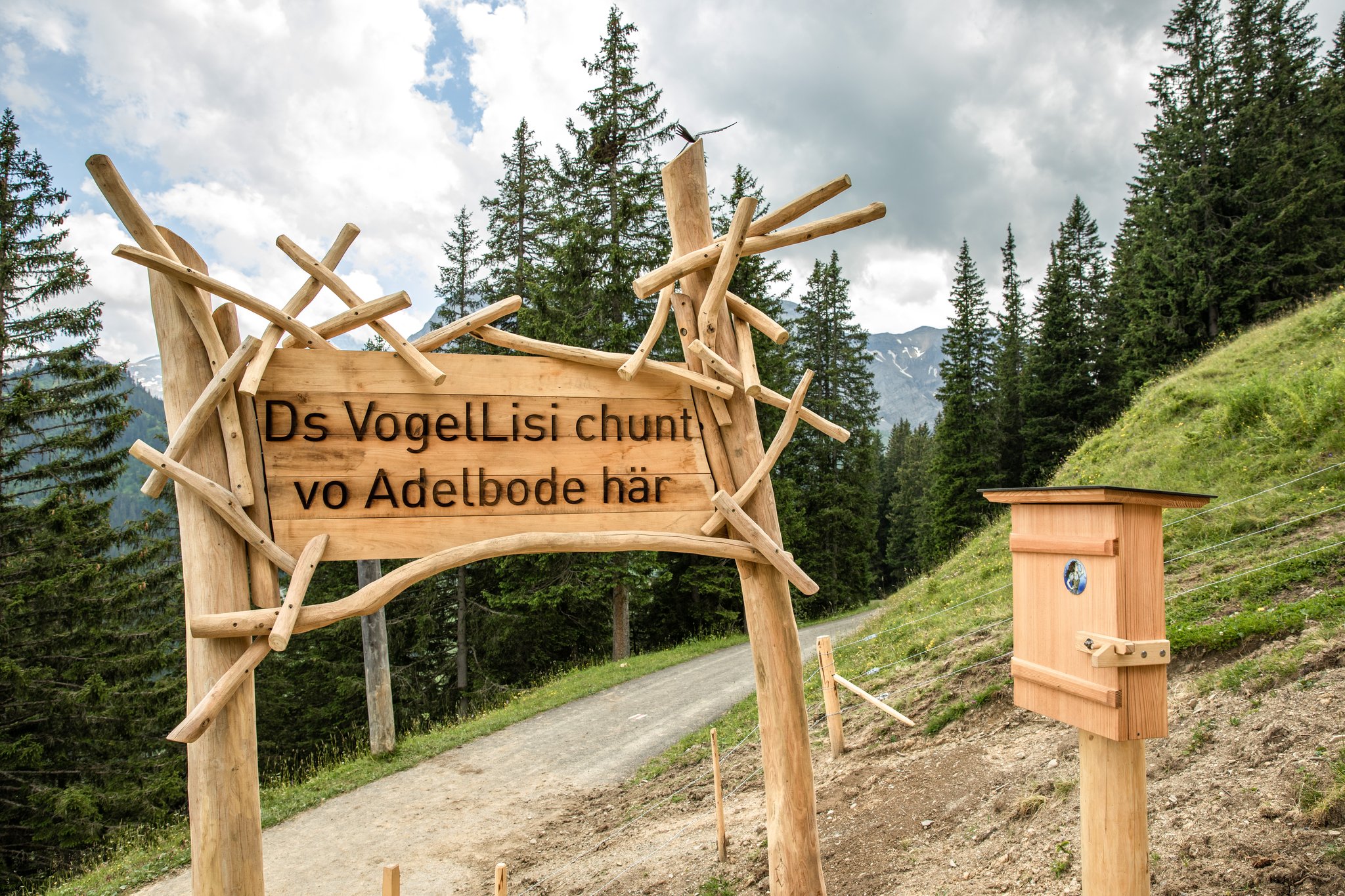 ©Bergbahnen Adelboden AG