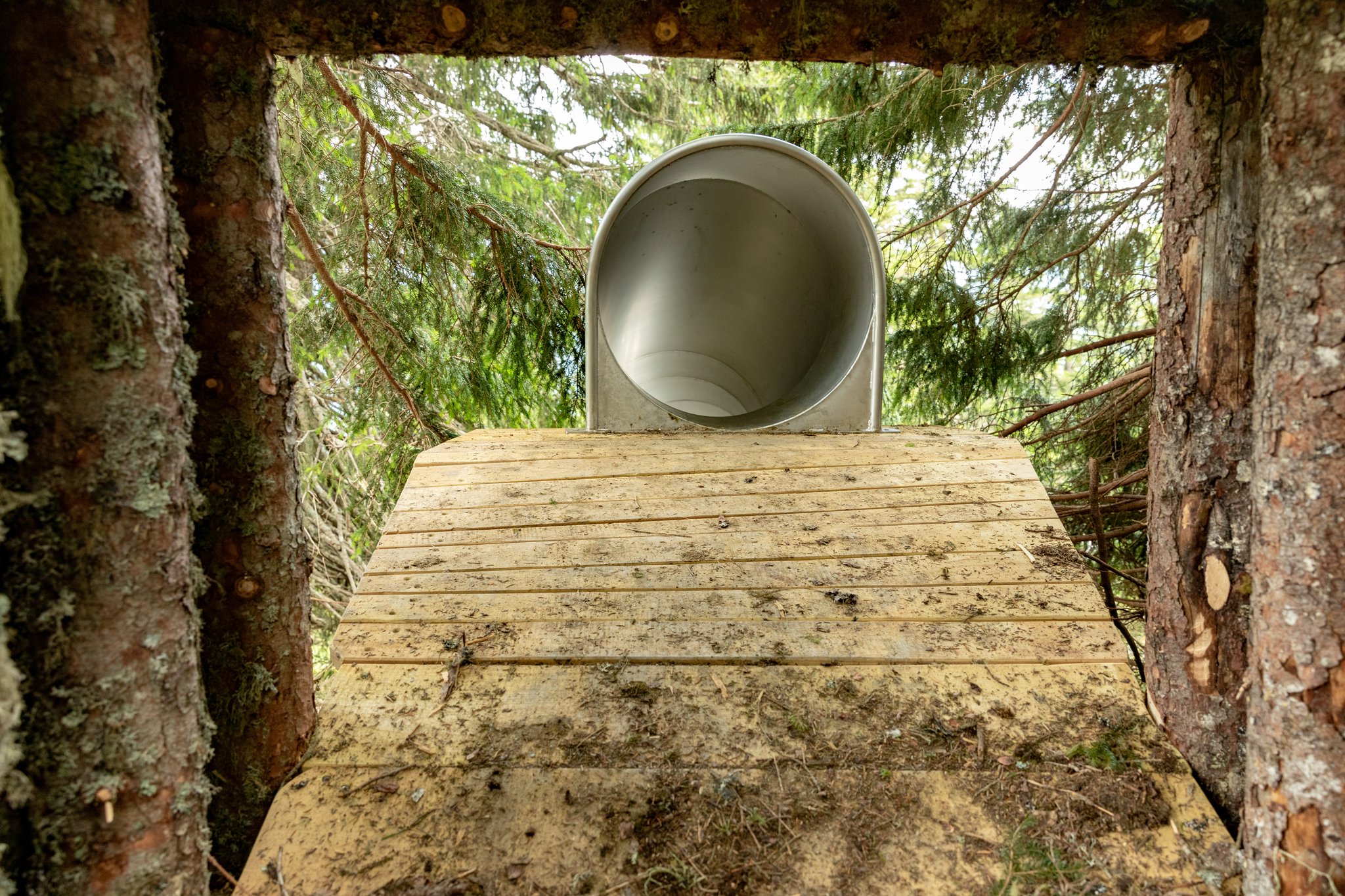 ©Bergbahnen Adelboden AG