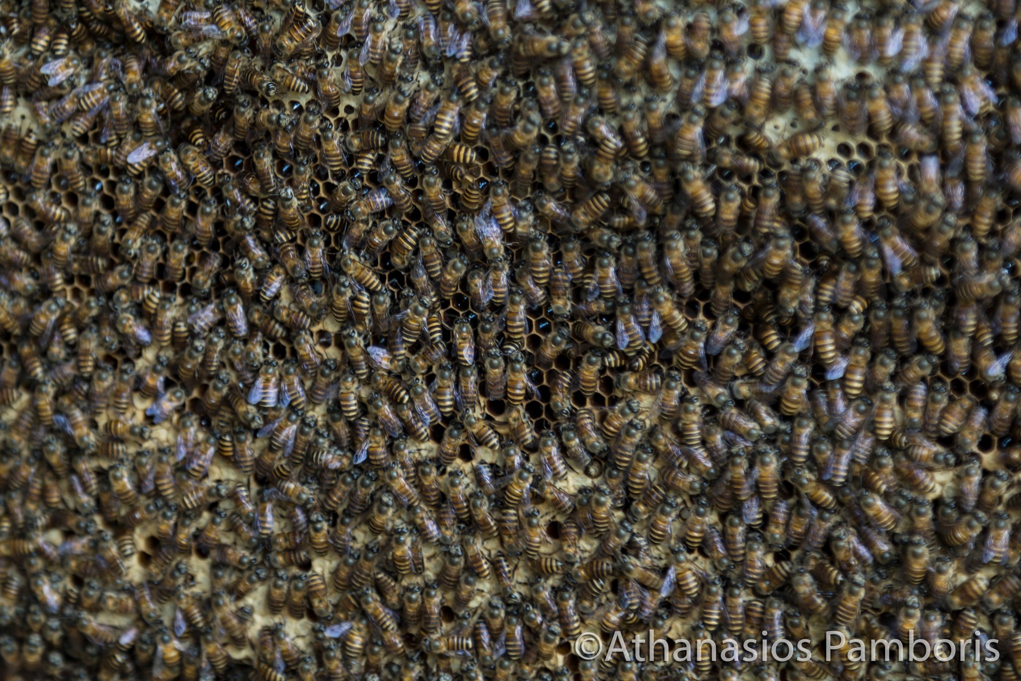 Ho Chi Minh City, Vietnam