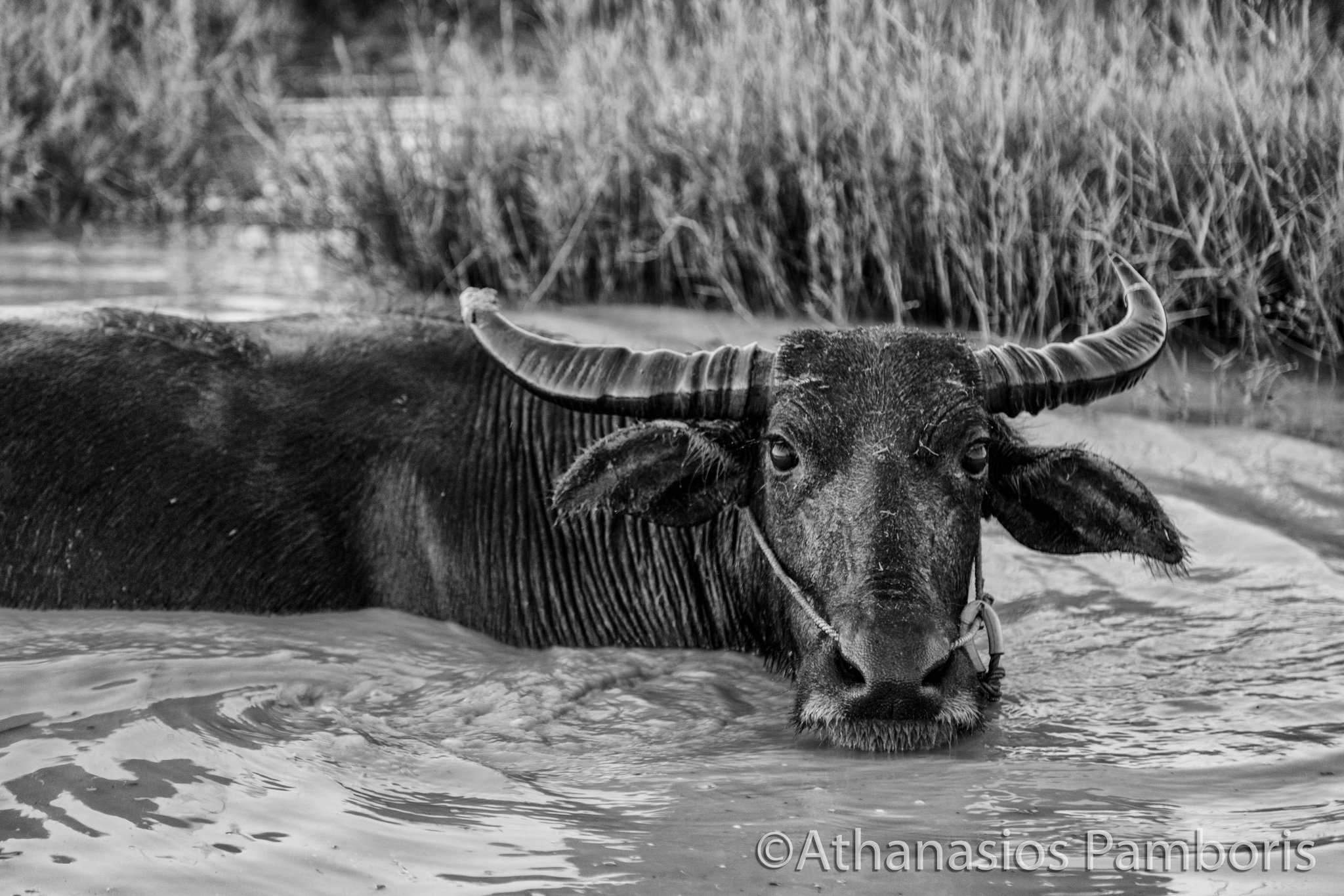 Sieam Reap, Cambodia