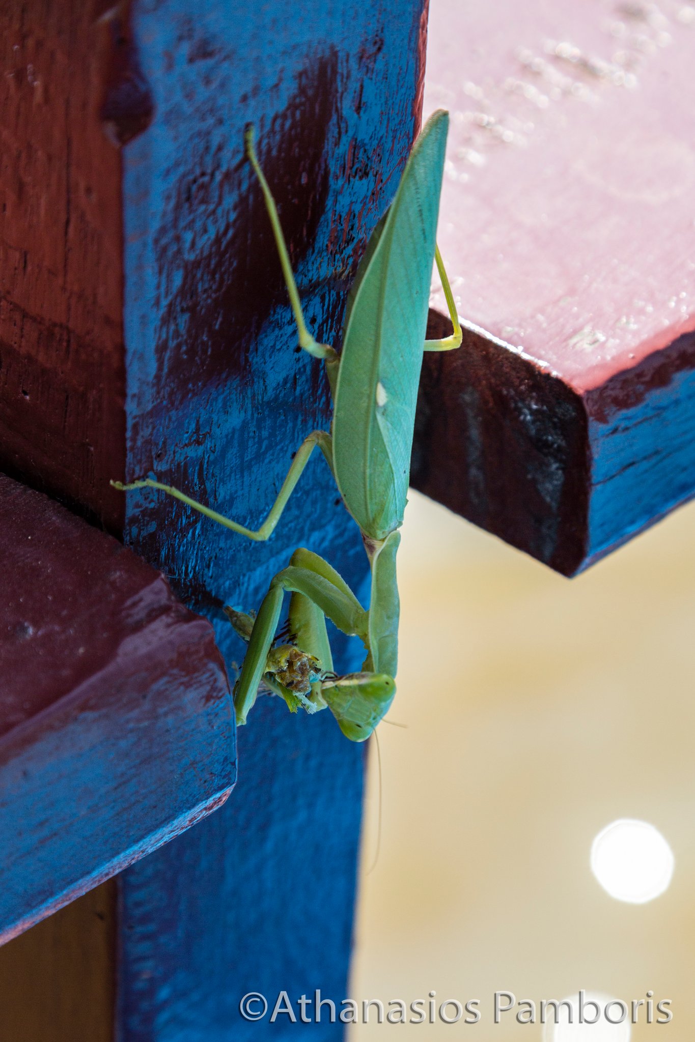 Sieam Reap, Cambodia