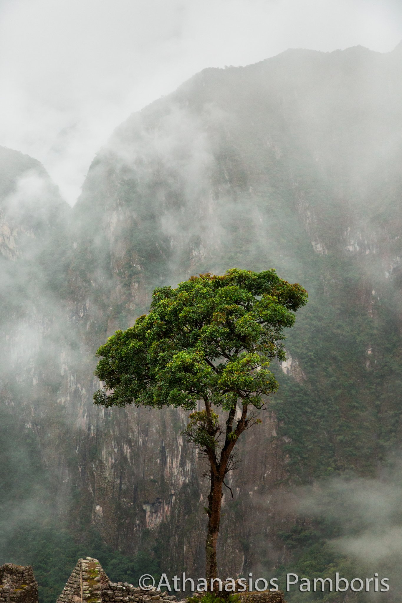 Machu Picchu, Peru