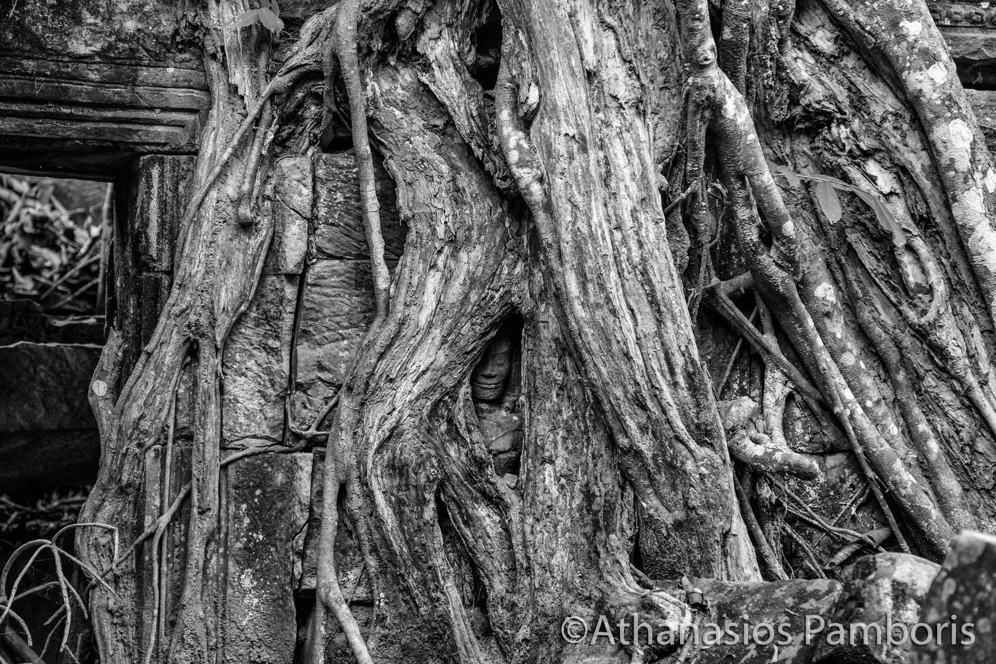 Ta Prohm, Cambodia