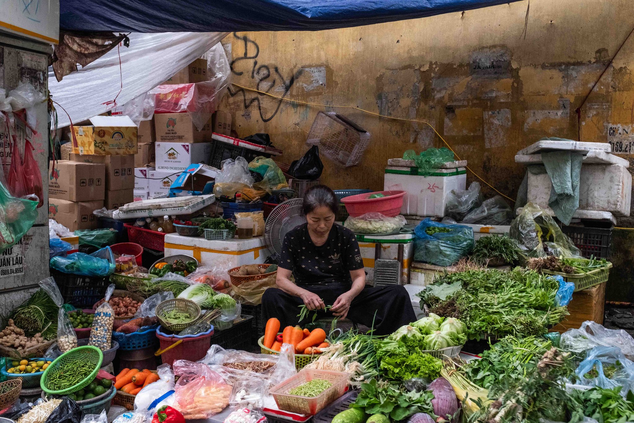 Traversée, Vietnam 2024, Léo Derivot