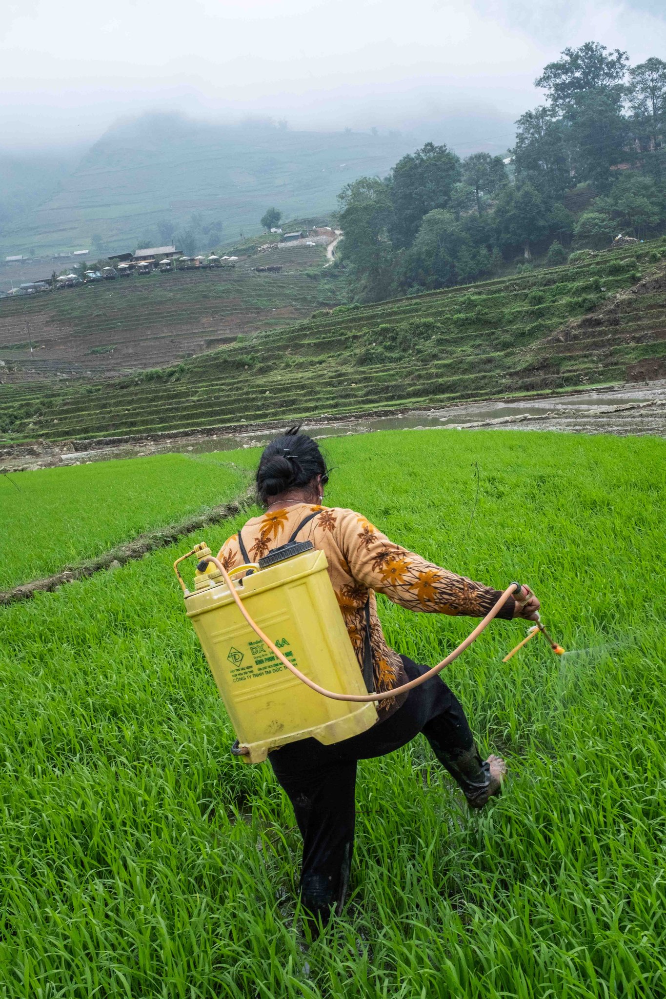 Traversée, Vietnam 2024, Léo Derivot