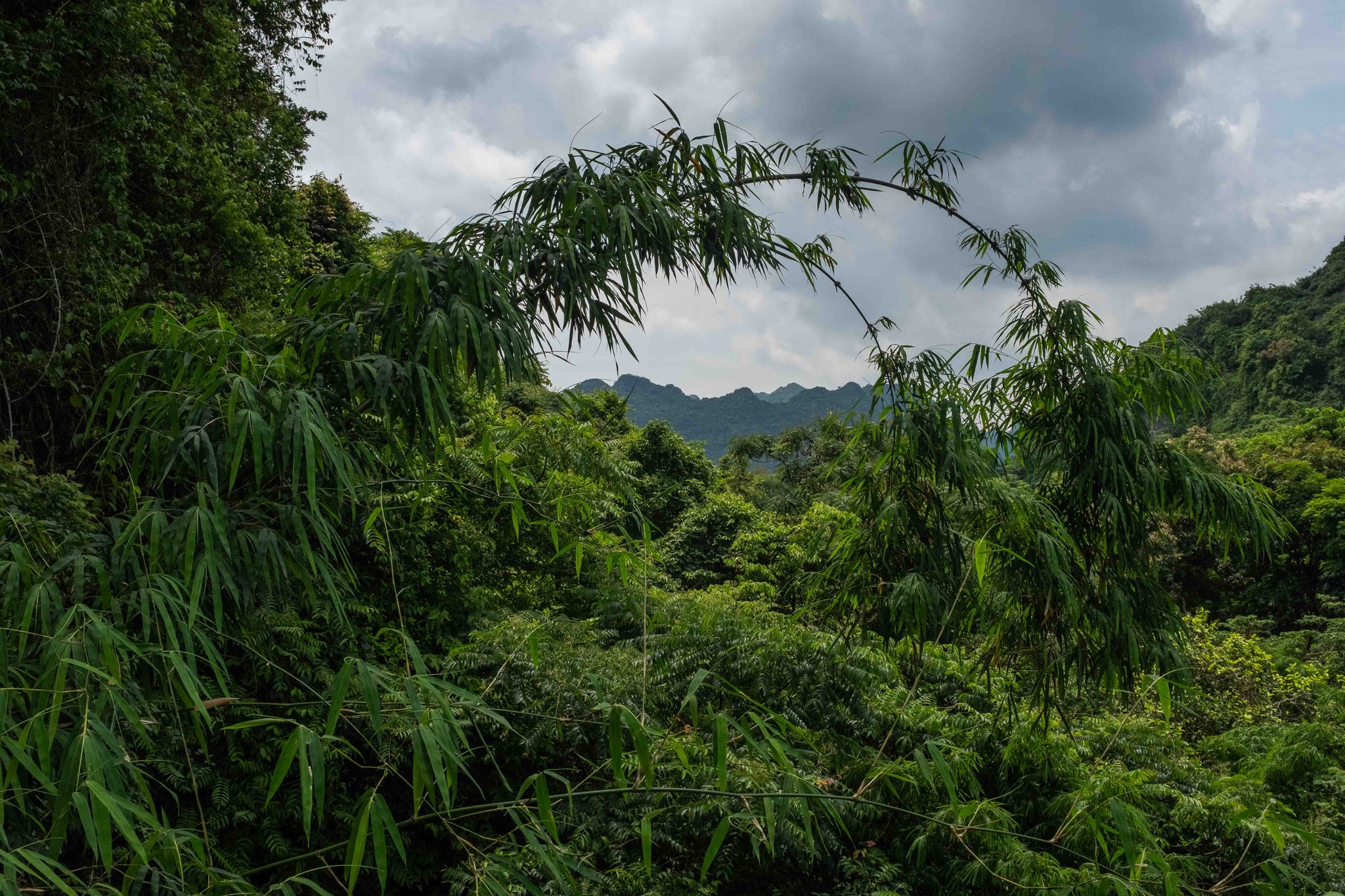 Traversée, Vietnam 2024, Léo Derivot