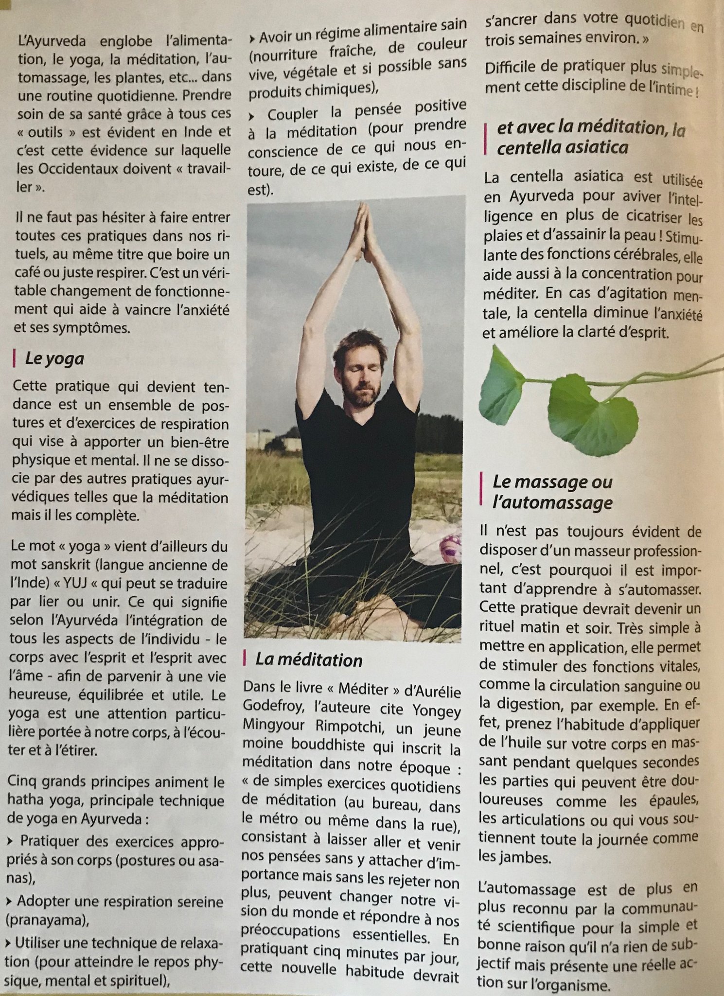 journal de l'ayurvéda 6