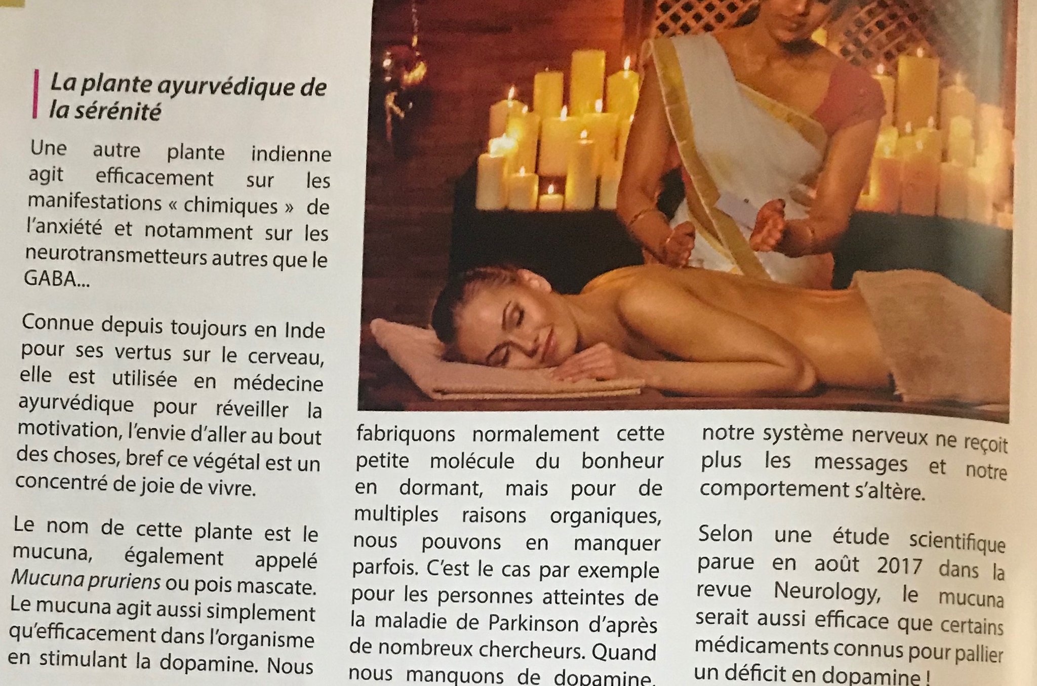 journal de l'ayurvéda 4